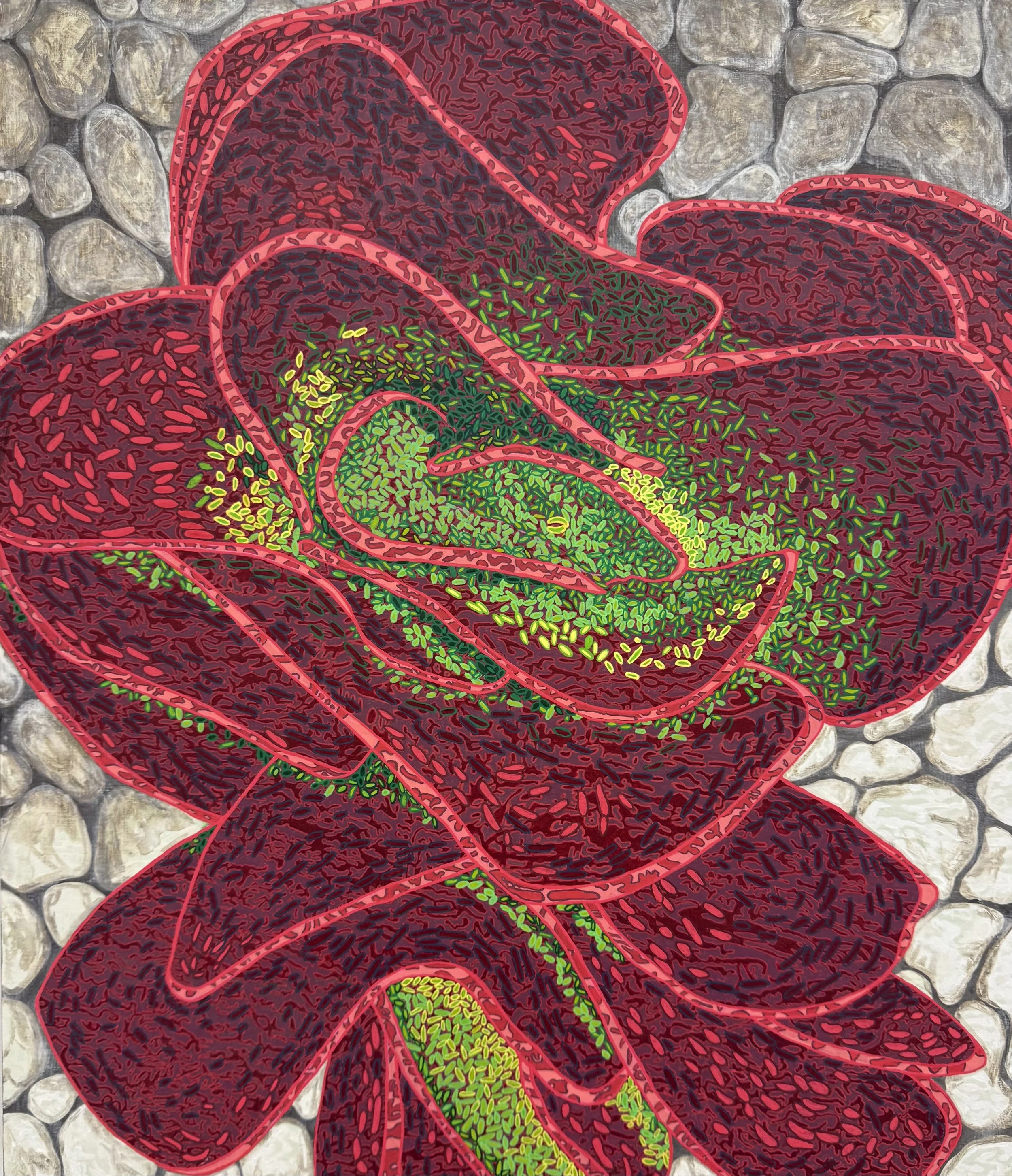 Red Paddle Plant.jpeg