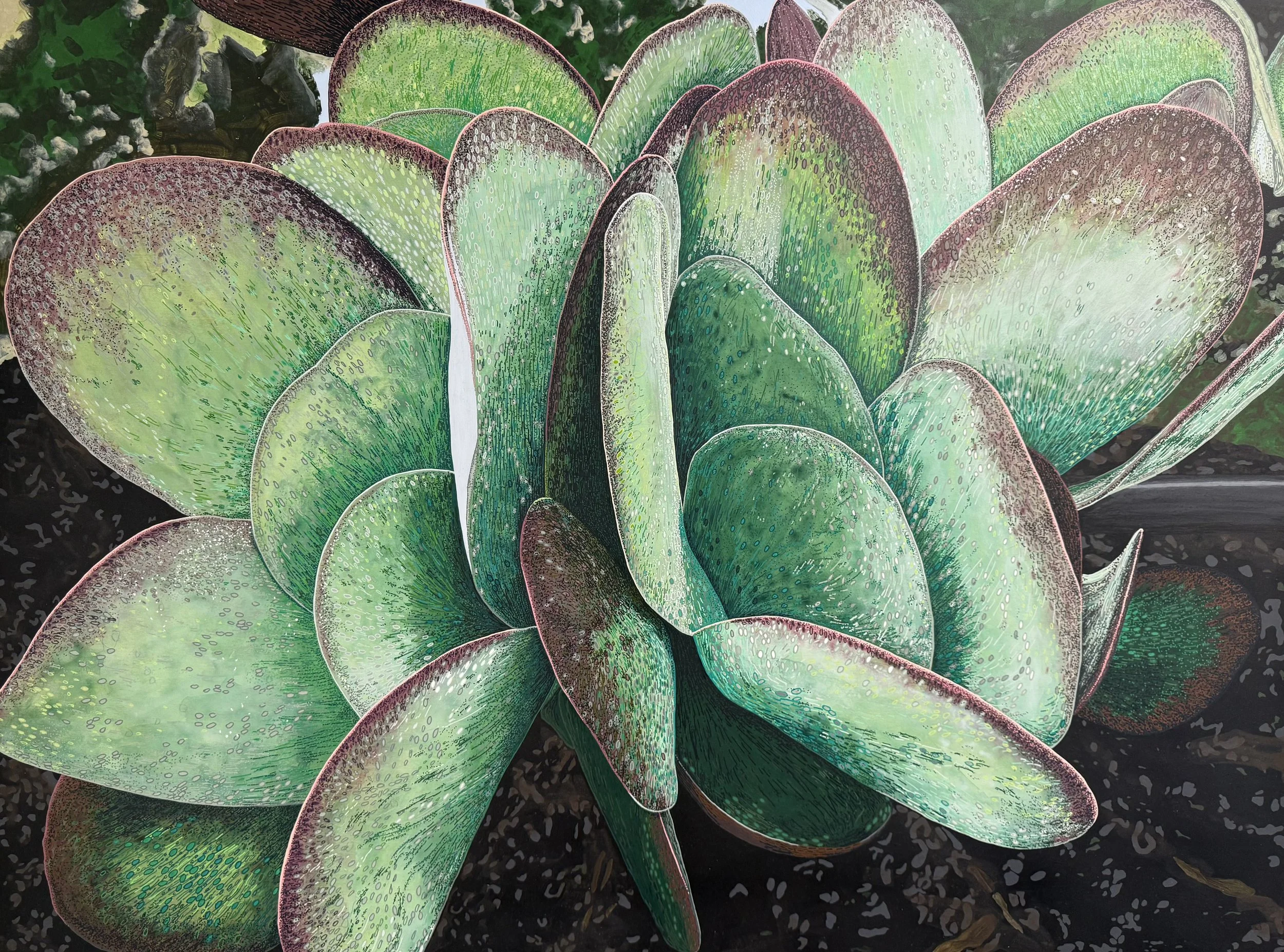 Paddle Plant.jpeg