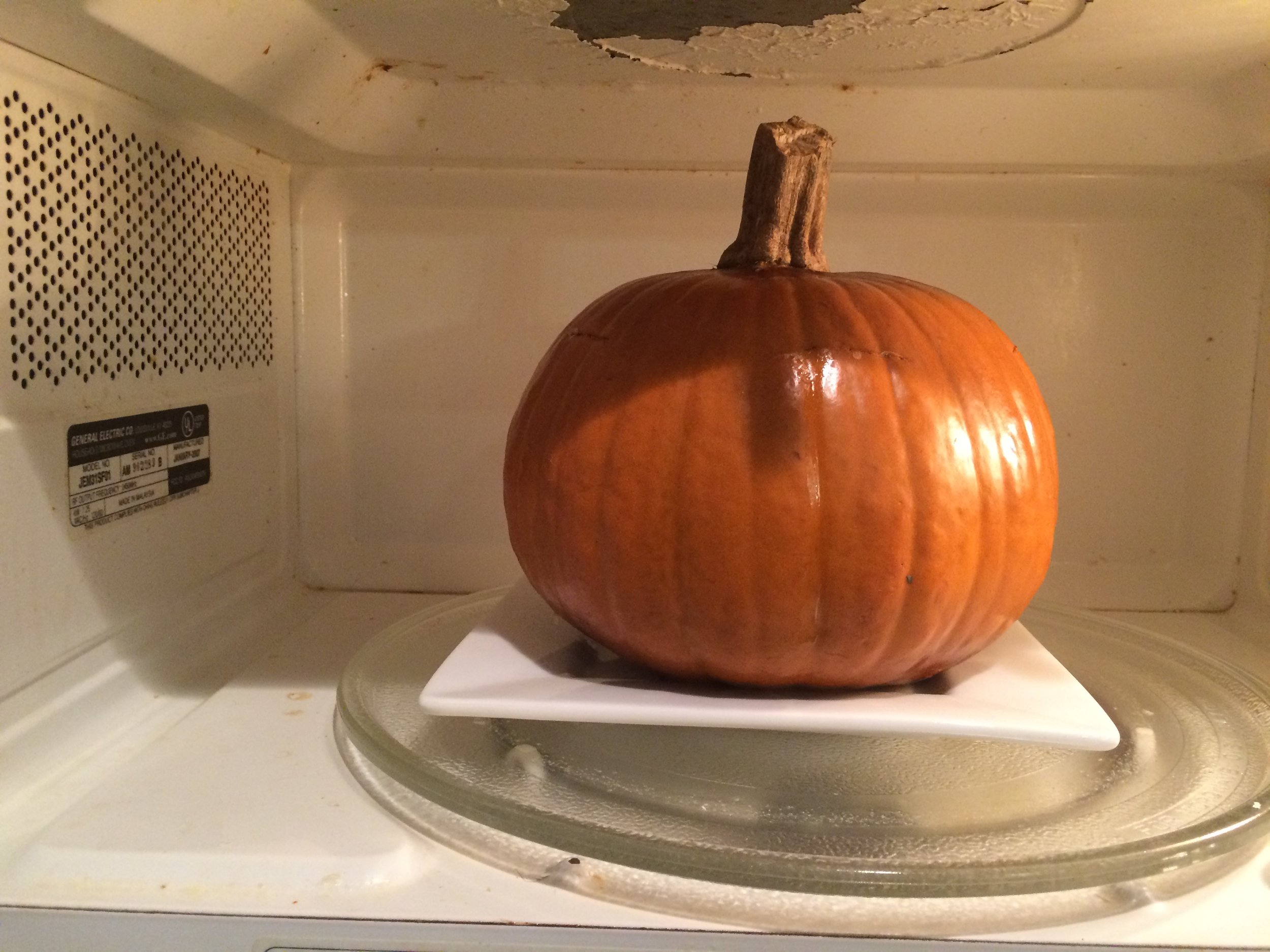 The micro gives your pumpkin a tan