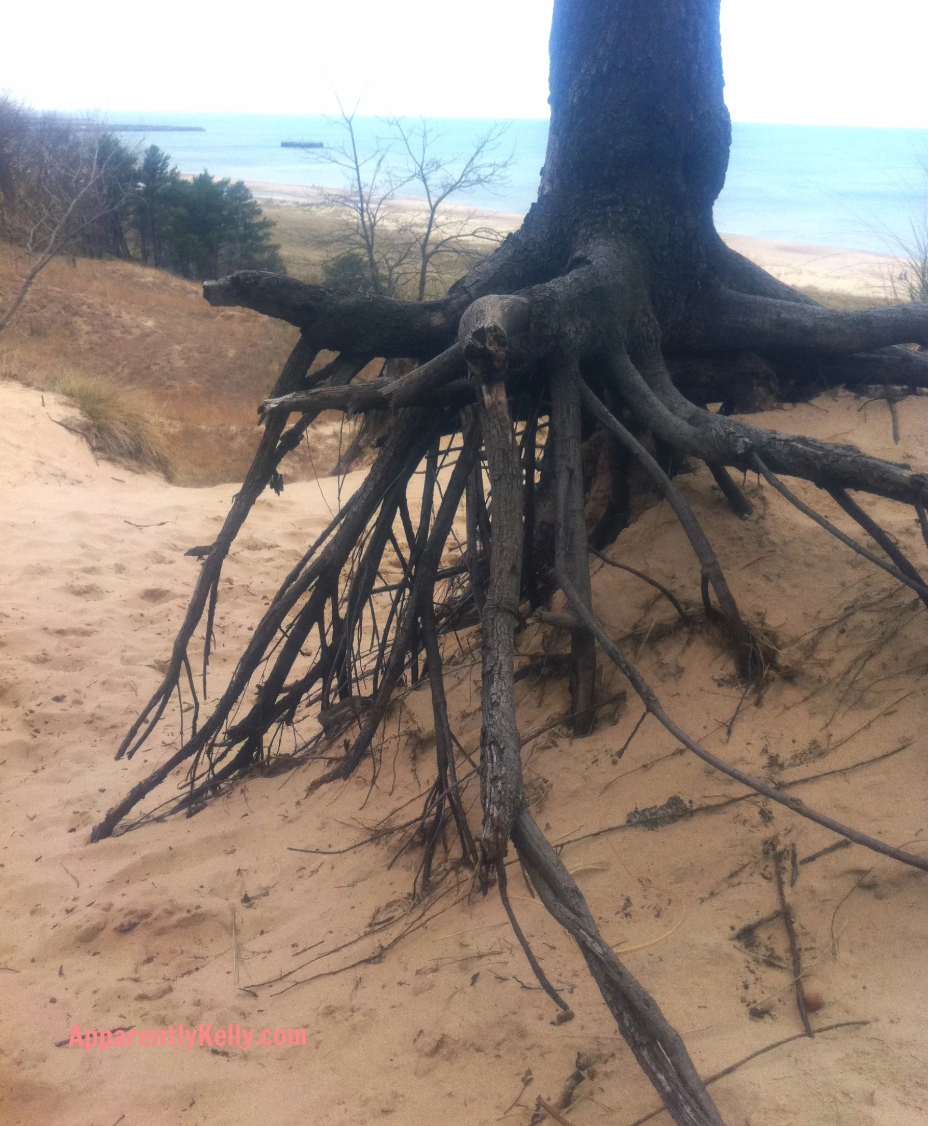 Ever-Changing Indiana Dunes