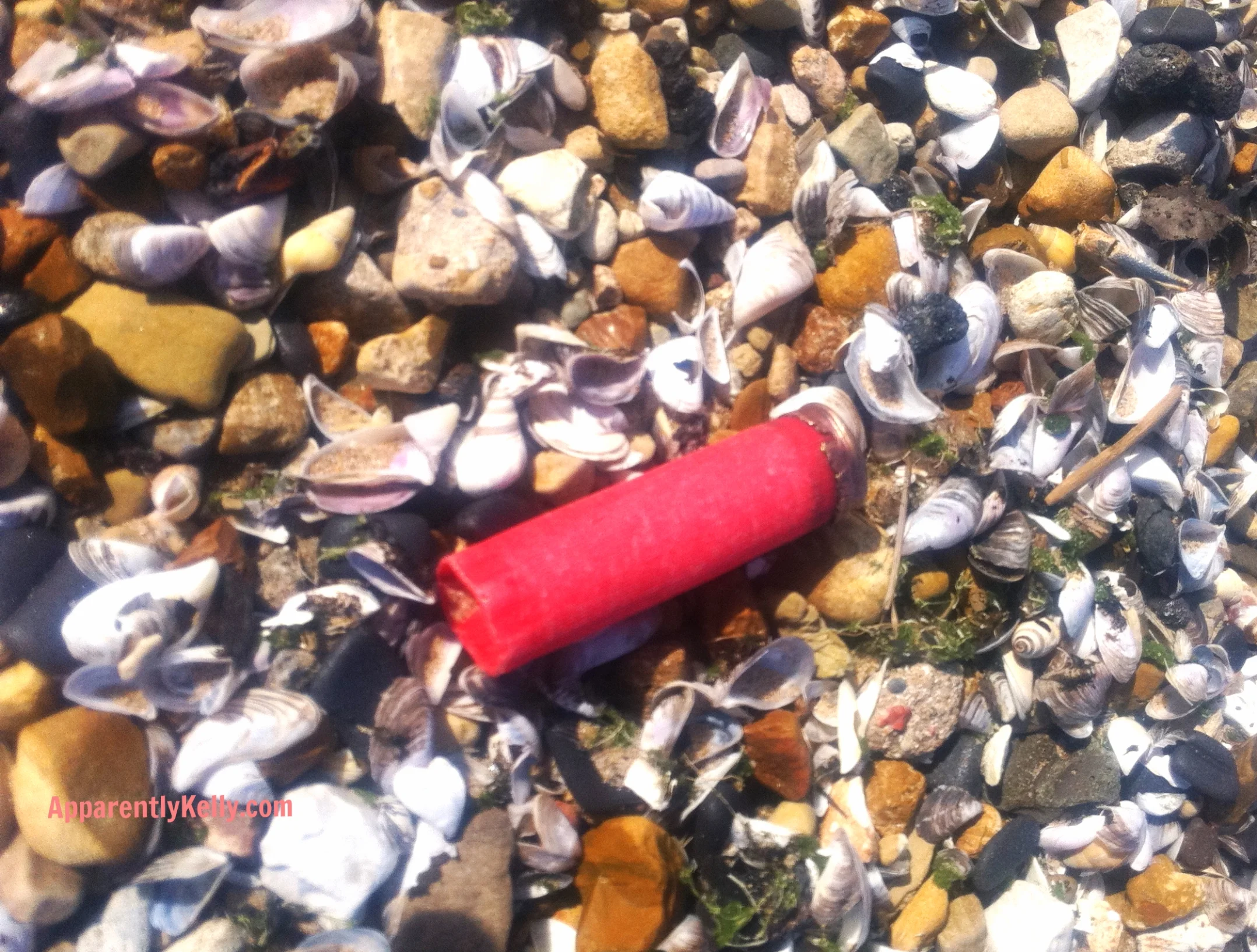  Shotgun shell among actual shells - early Spring on the beach near Fullerton Ave., Chicago.&nbsp; 