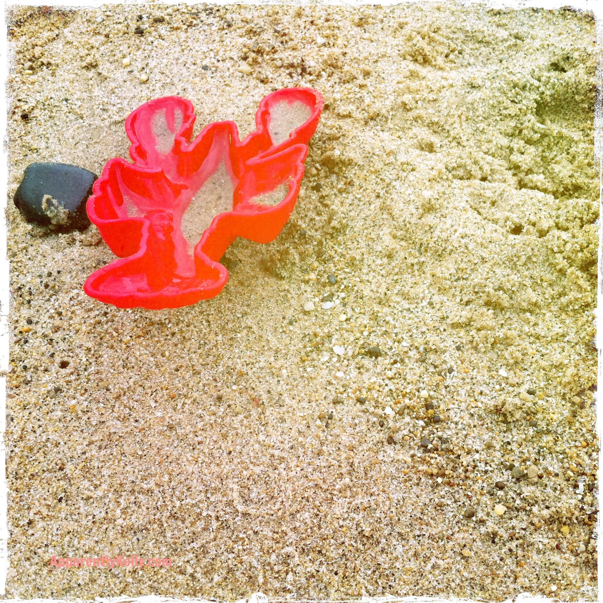 Lobster at Lake Michigan