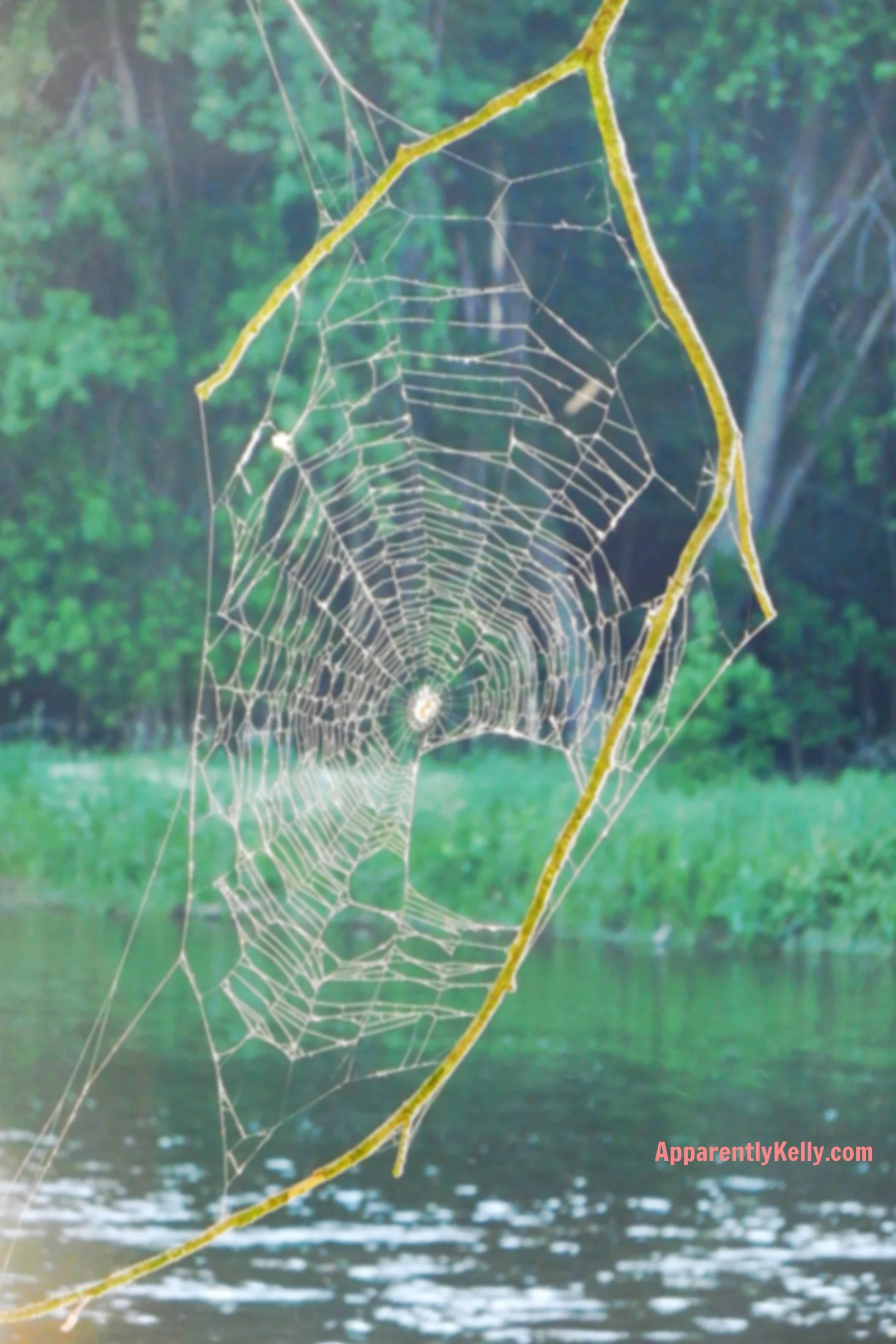 Impressive work little Spiderman!