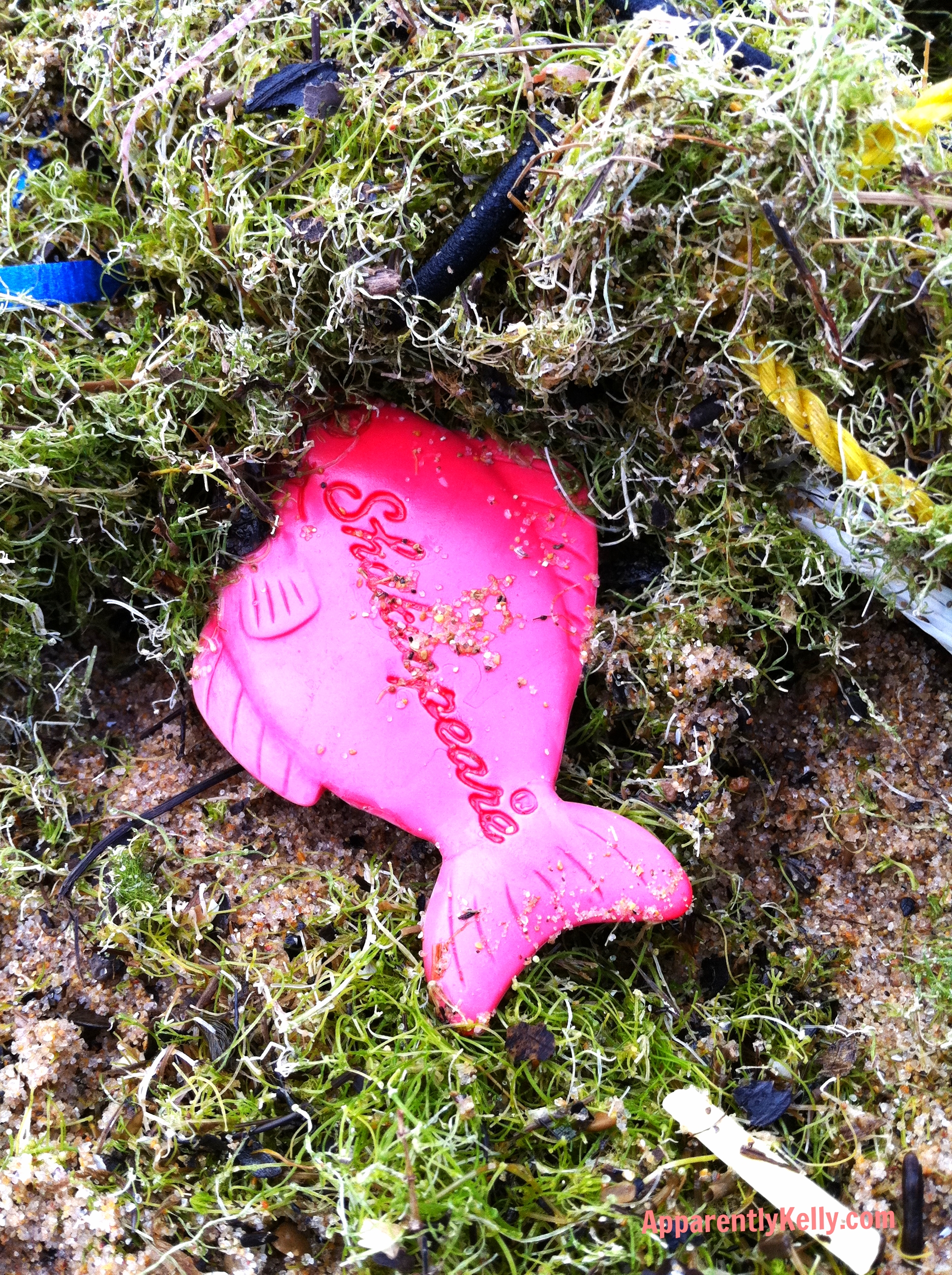 Fish out of water. . . at least NEAR the water. 