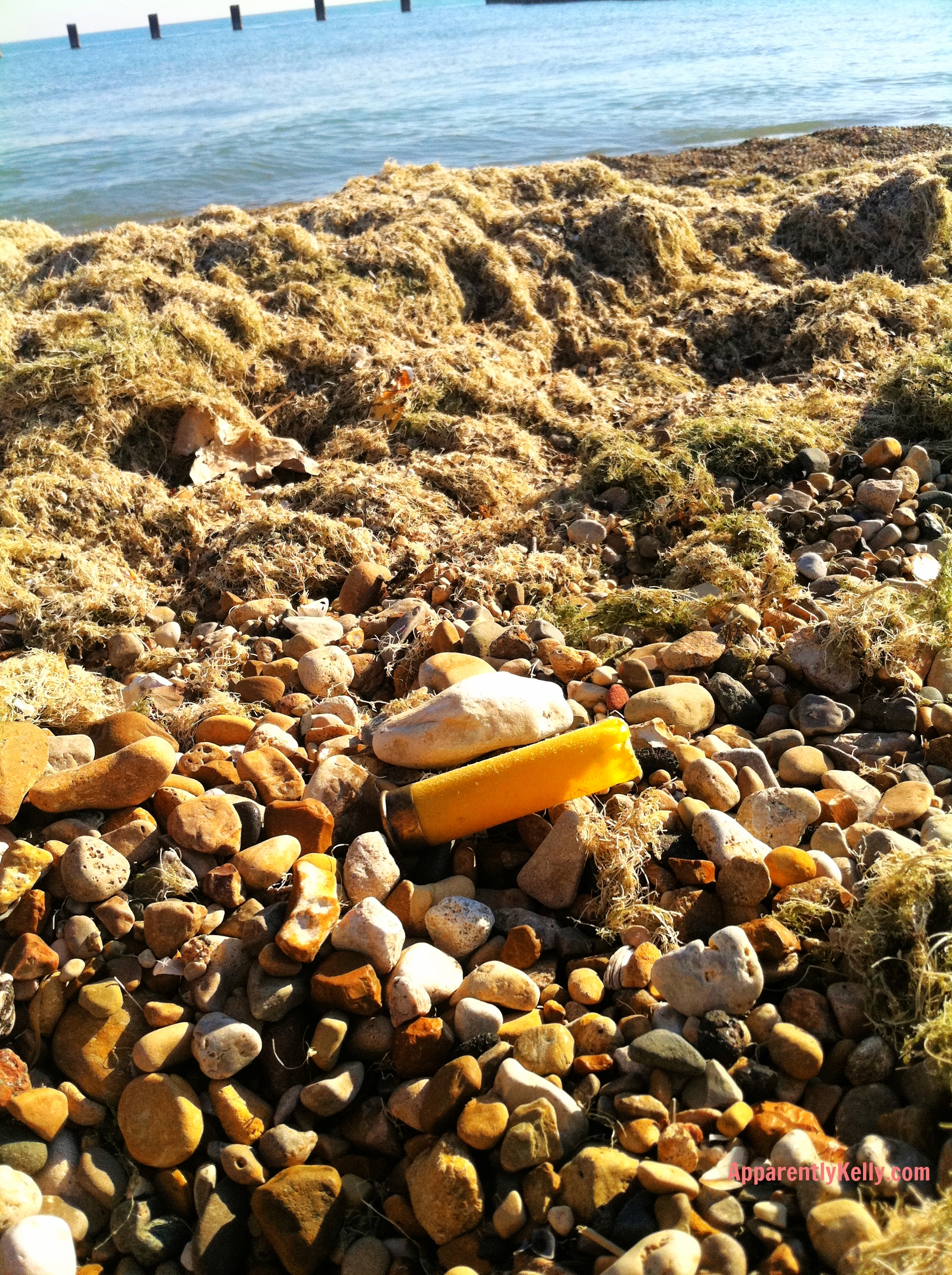 Yep, that's another shotgun shell on the beach.  