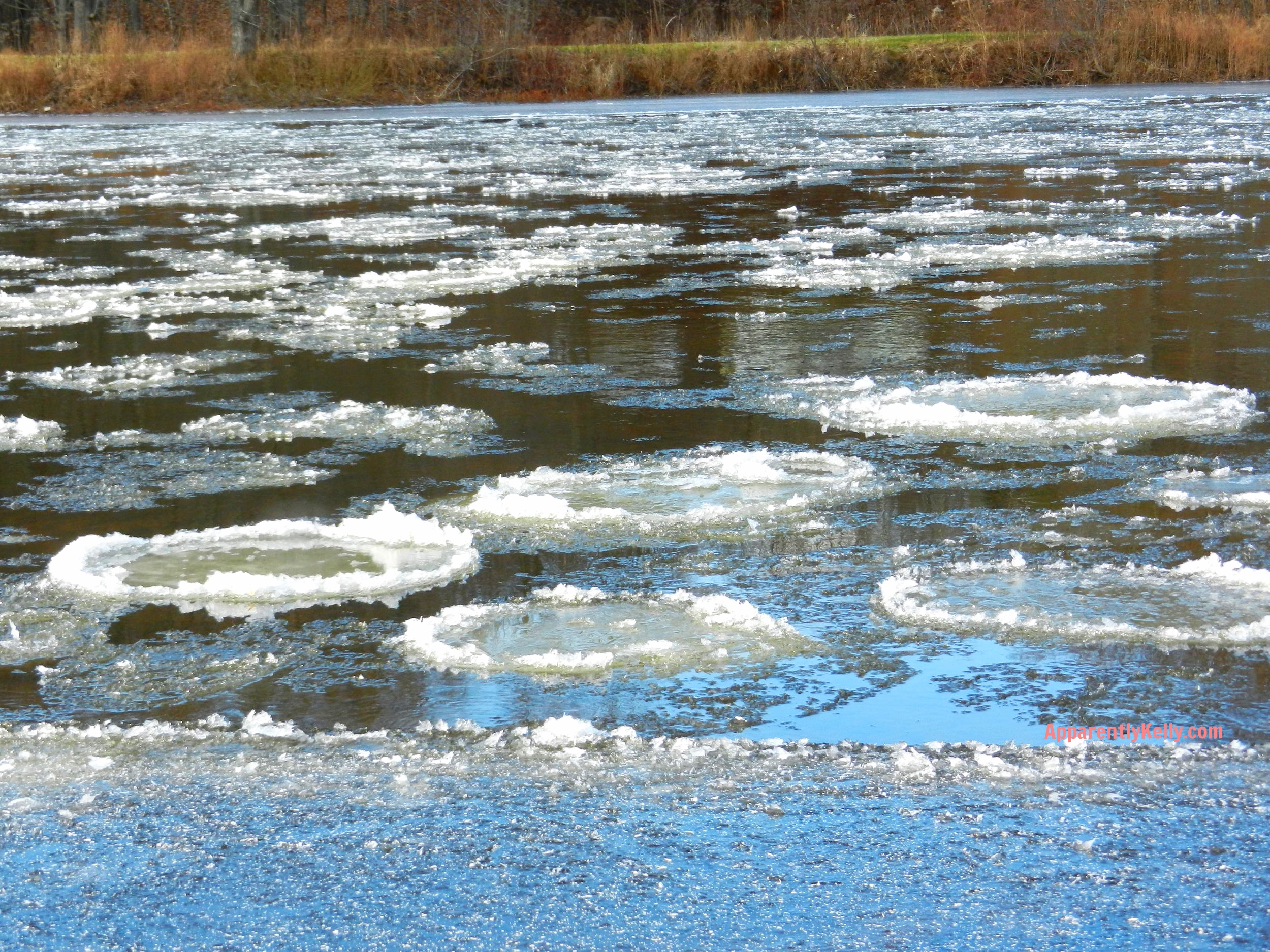 River Ice Circles 