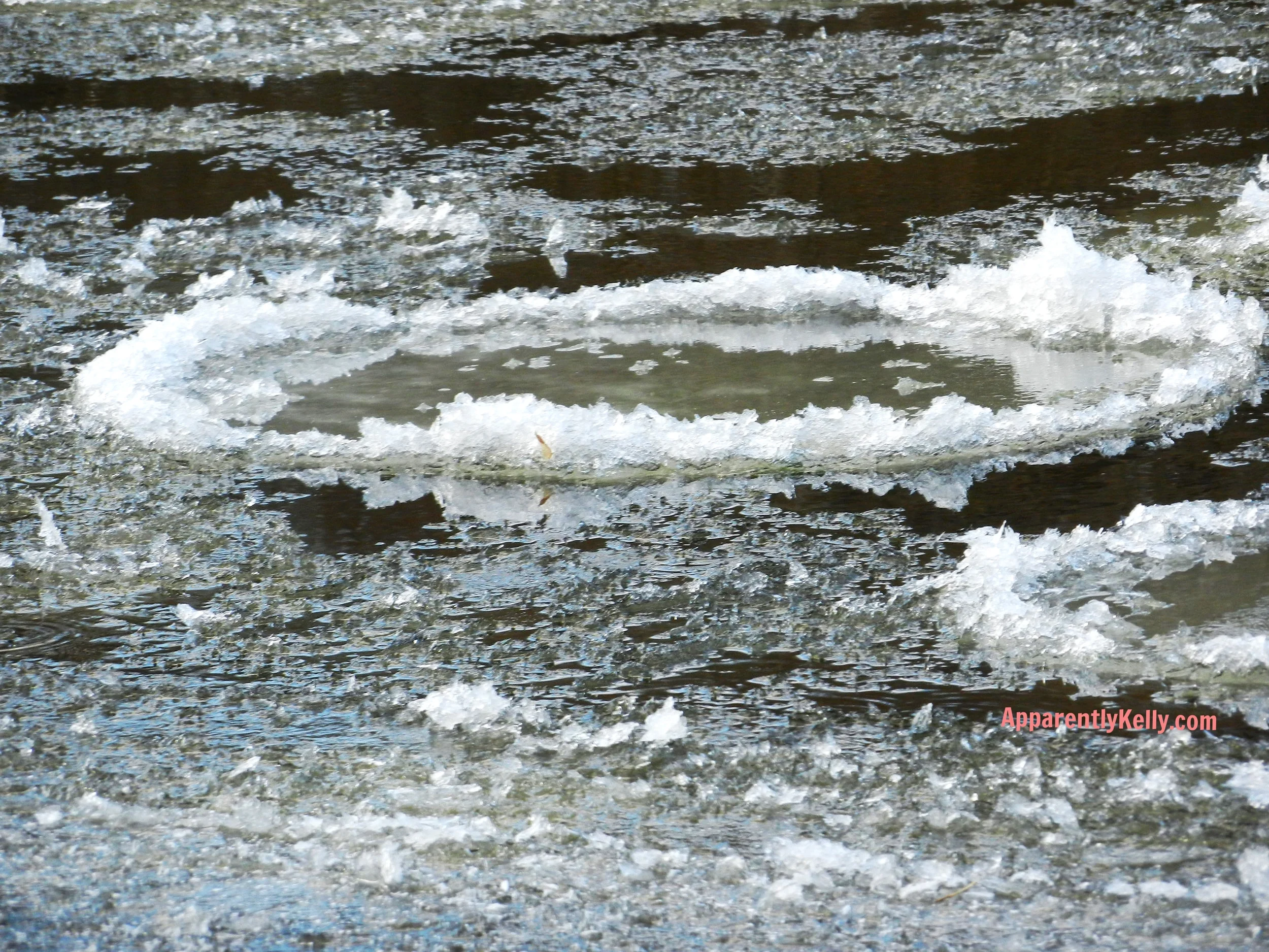 Apparently when ice chunks move along the river they get molded into circles