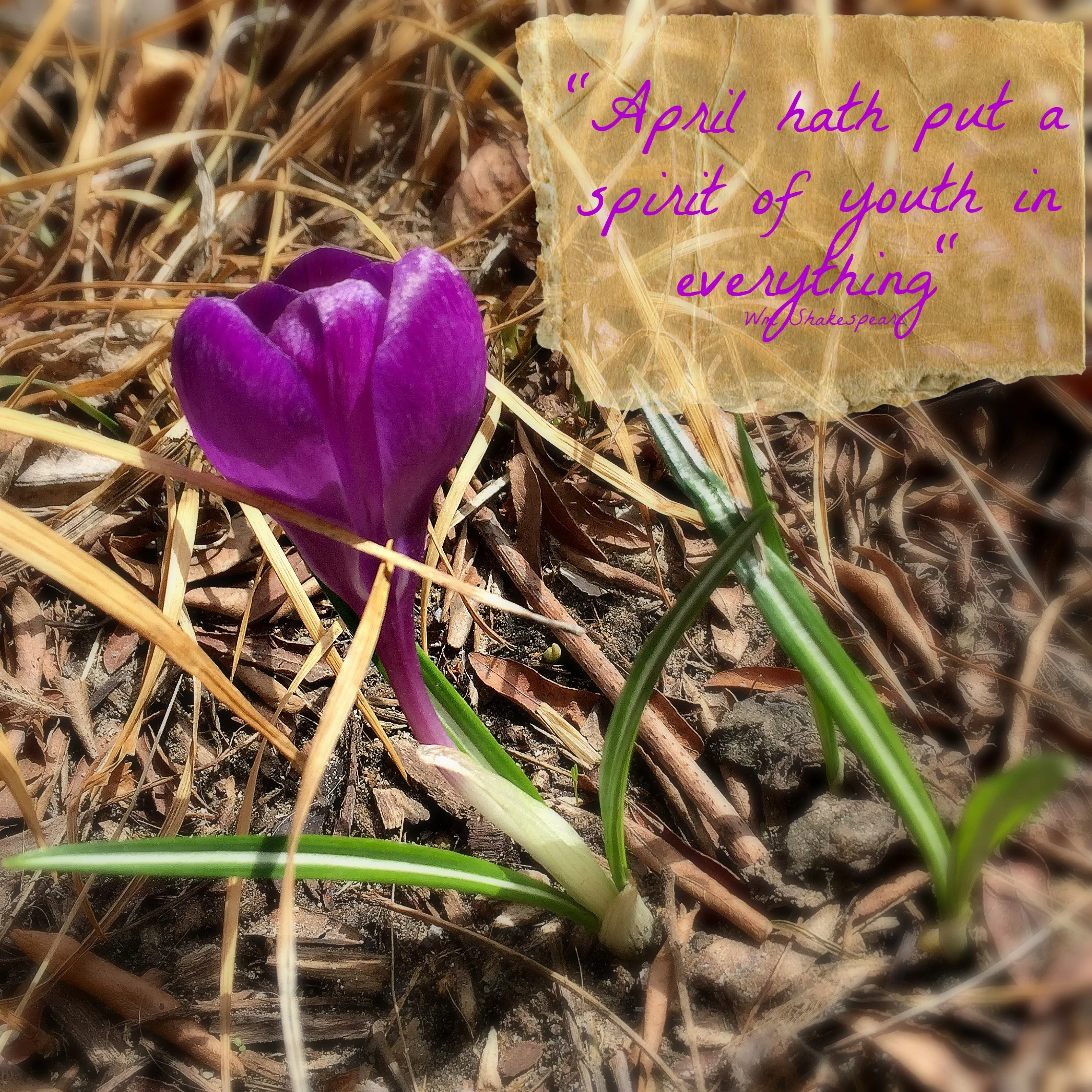 Spring = Promise & Delight! 