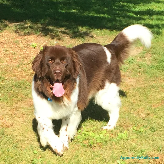 Walkin' On Sunshine!