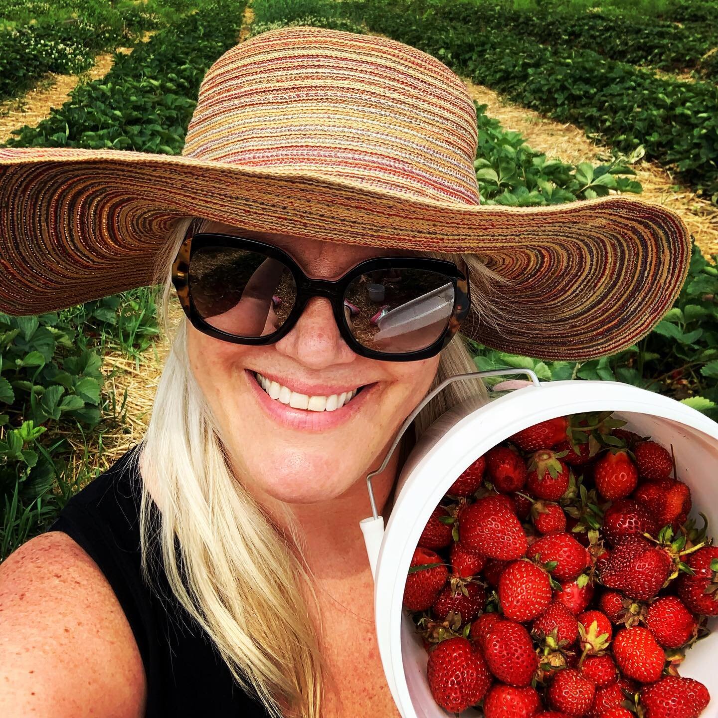 Summer fun tastes like strawberries today #strawberrypicking #puremichigan #strawberries #summerfun #familyfun