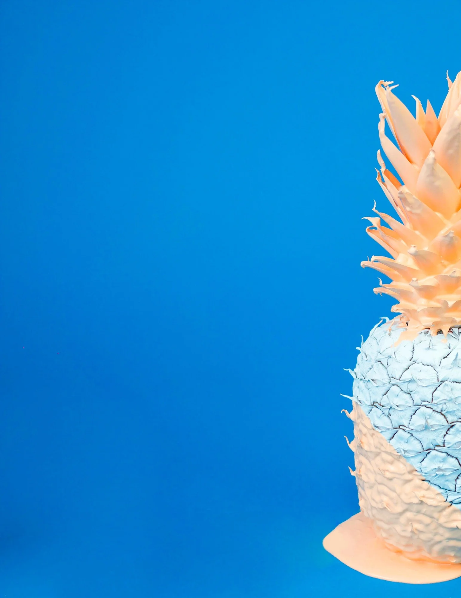 pineapple_painted_cropped.jpg
