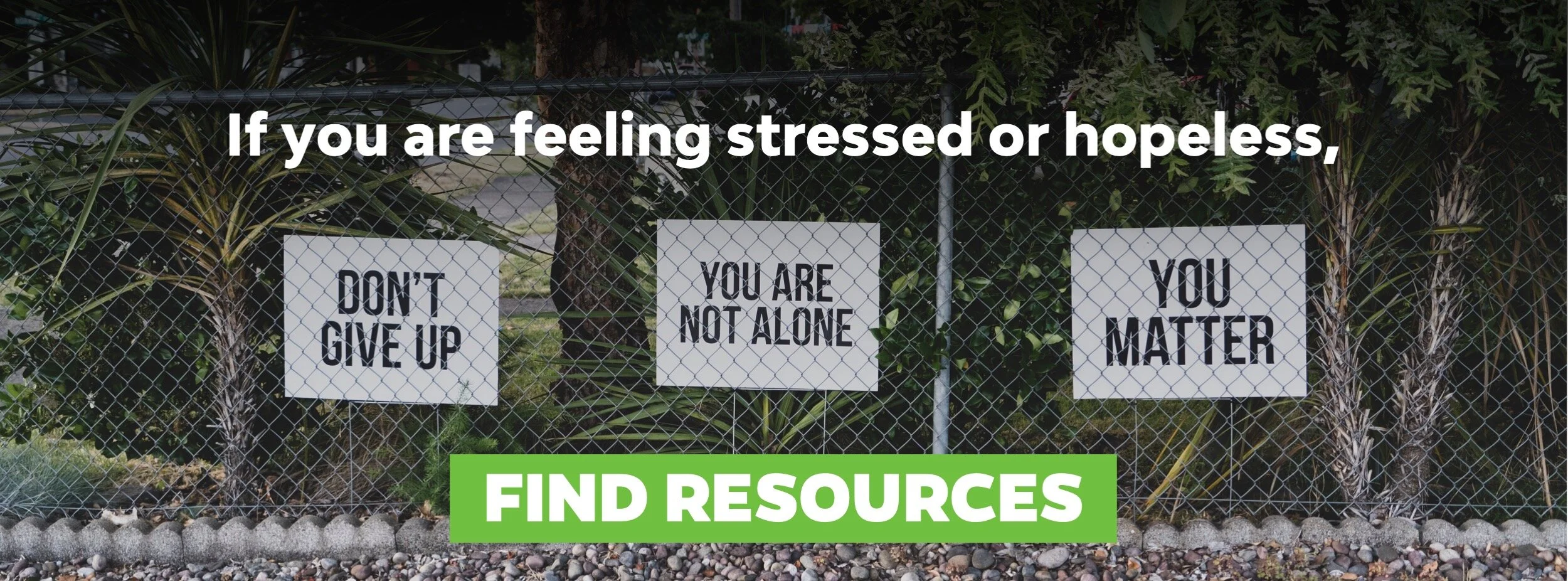 Cares_FB Cover_Cares_Button_Web.jpg