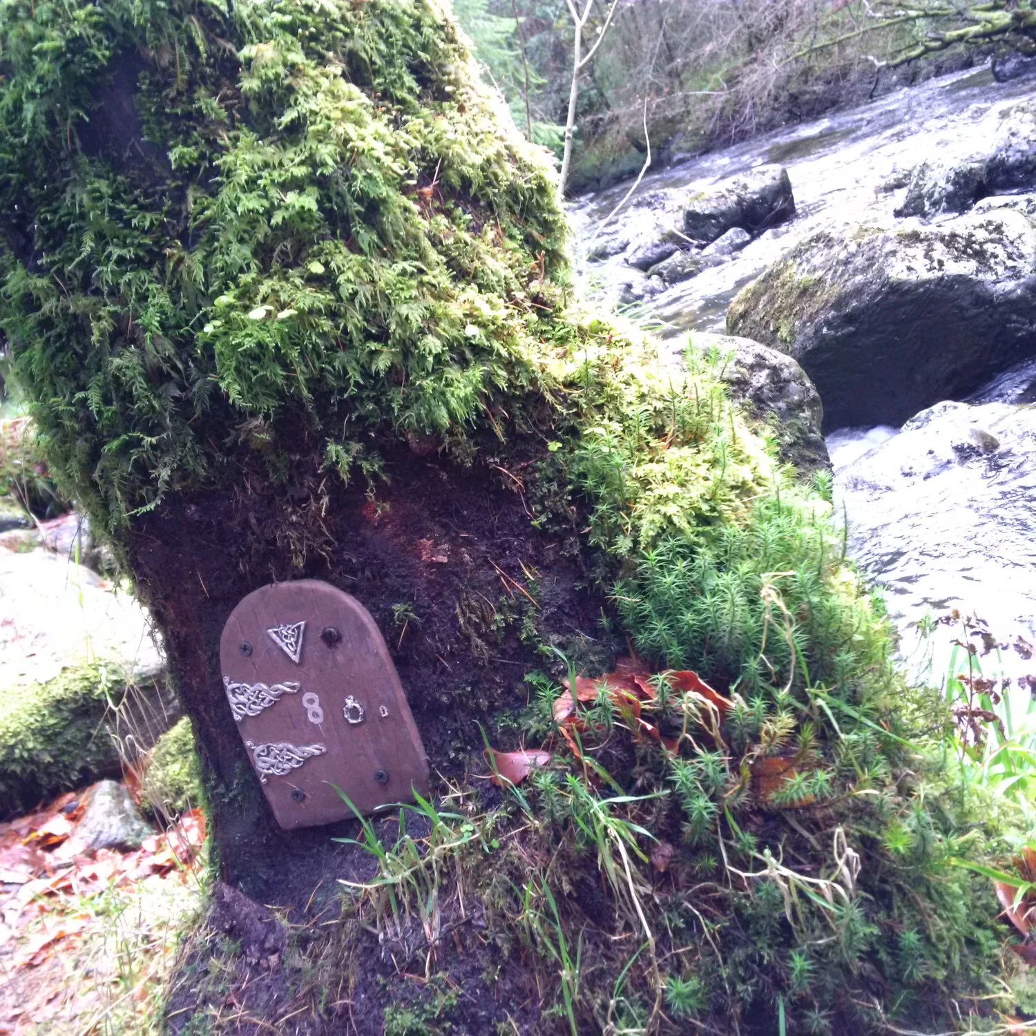 This fairy door which prompted a lot of imagination play, but would have been missed if we were going at adult speed.