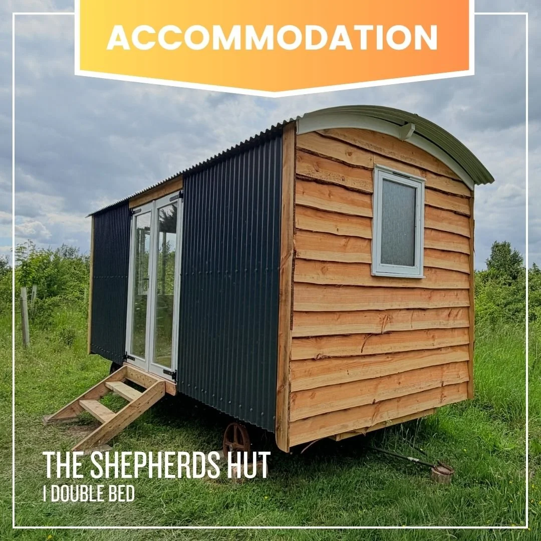 The Shepherd's Hut