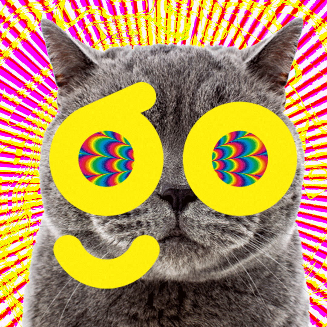 LaserKitty_1080x1080_Anm.gif