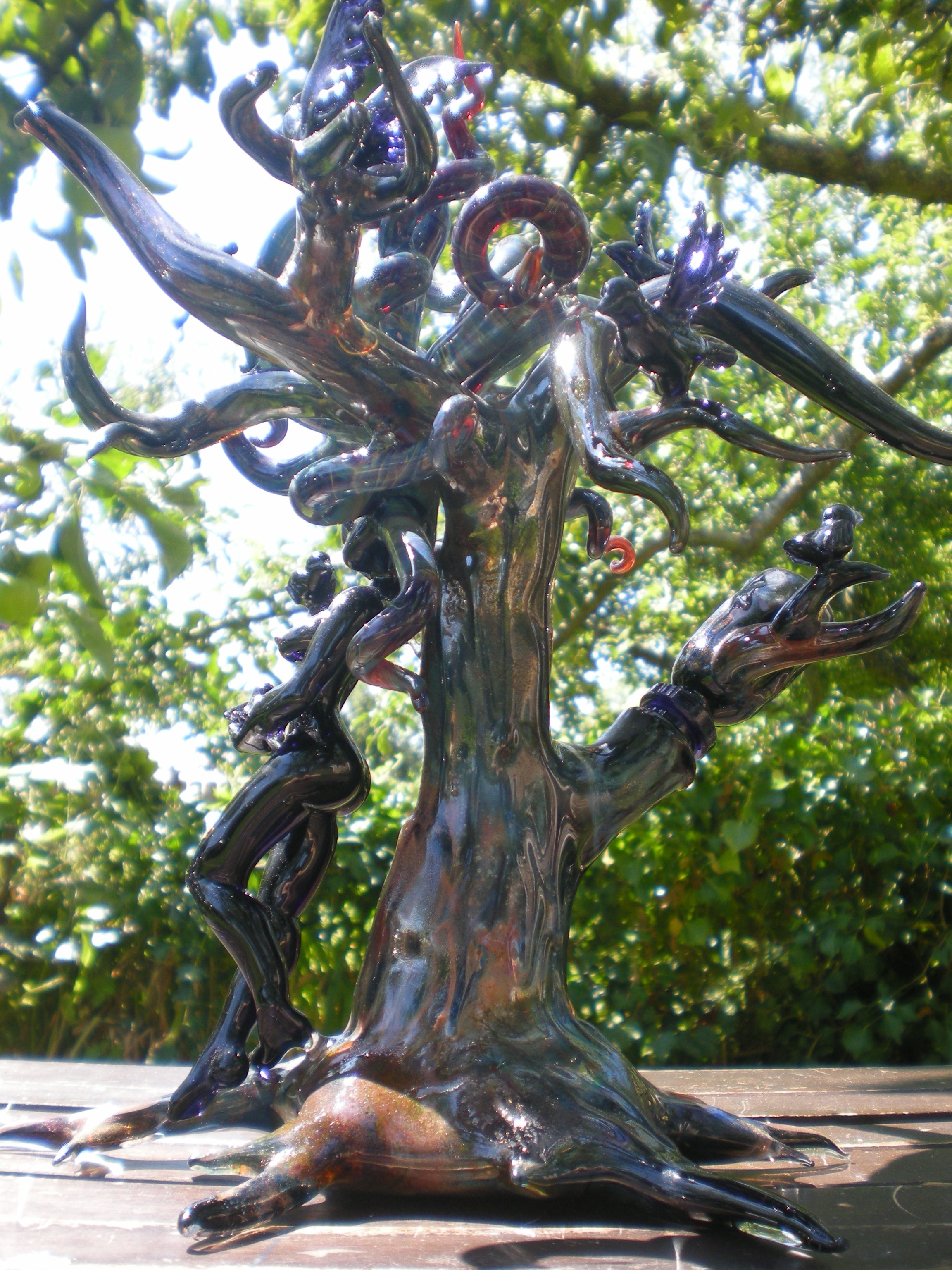"Tree Lady"