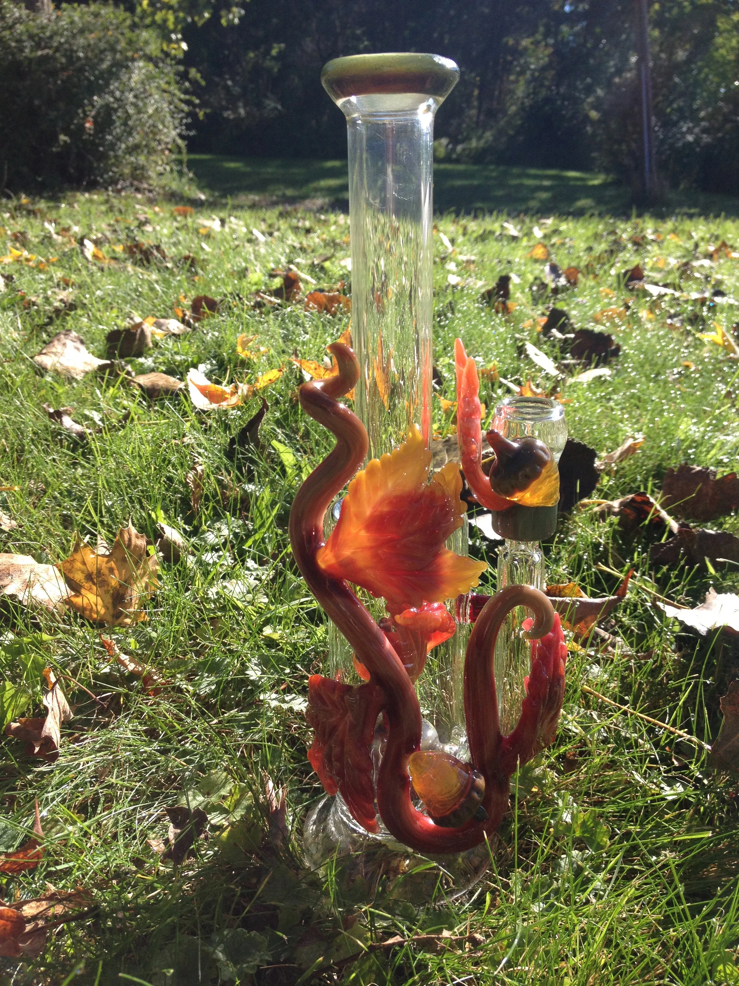 "Autumn Sunshine"