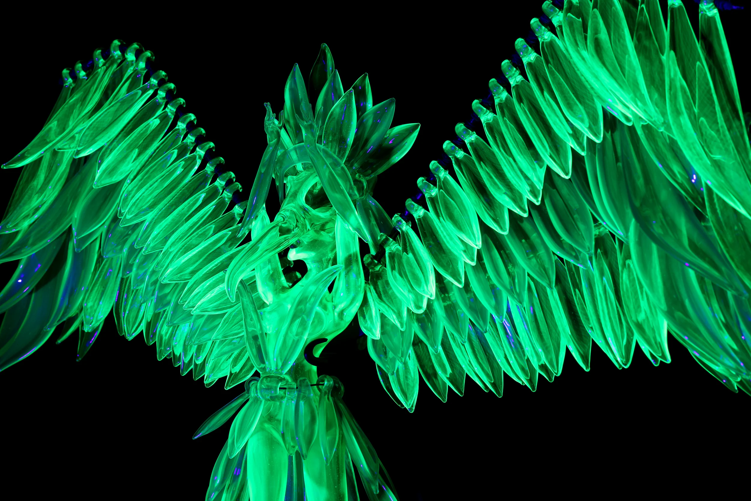 lightseeker-13.jpg