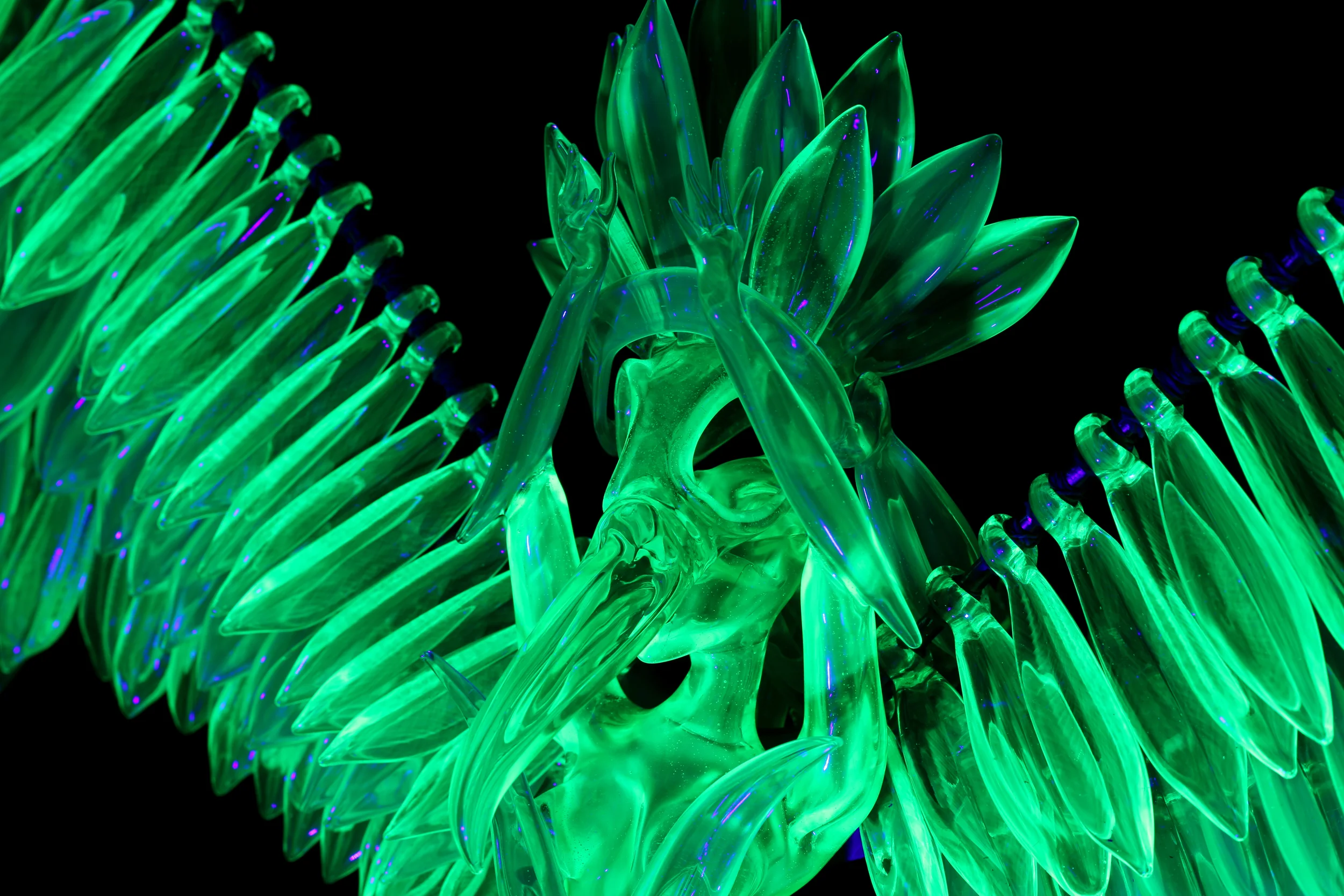 lightseeker-17.jpg