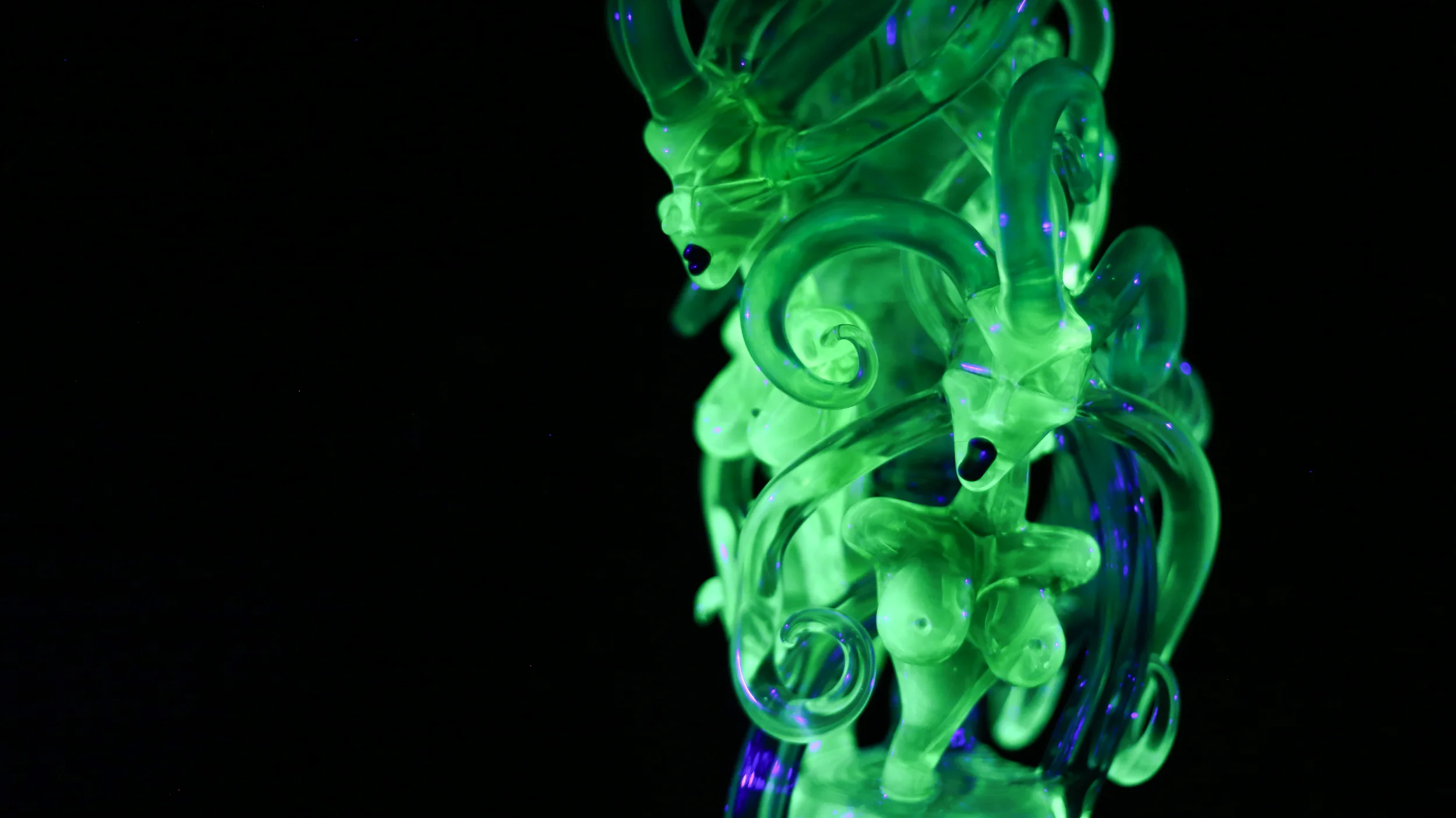 lightseeker-11.jpg