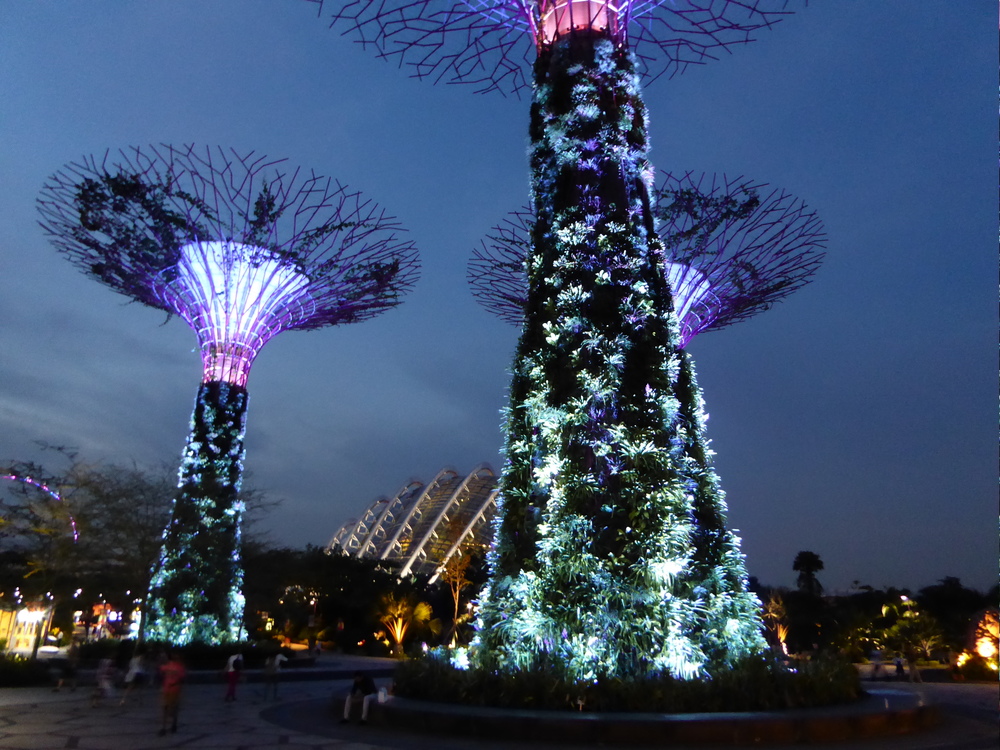 Gardens by the bay, Singapore