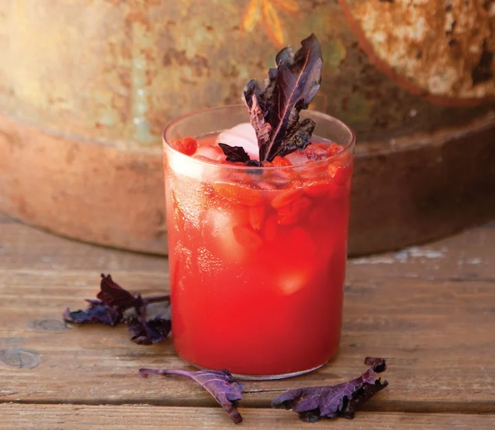 Style Fragment_Watermelon Goji Berry Super Juice.jpg