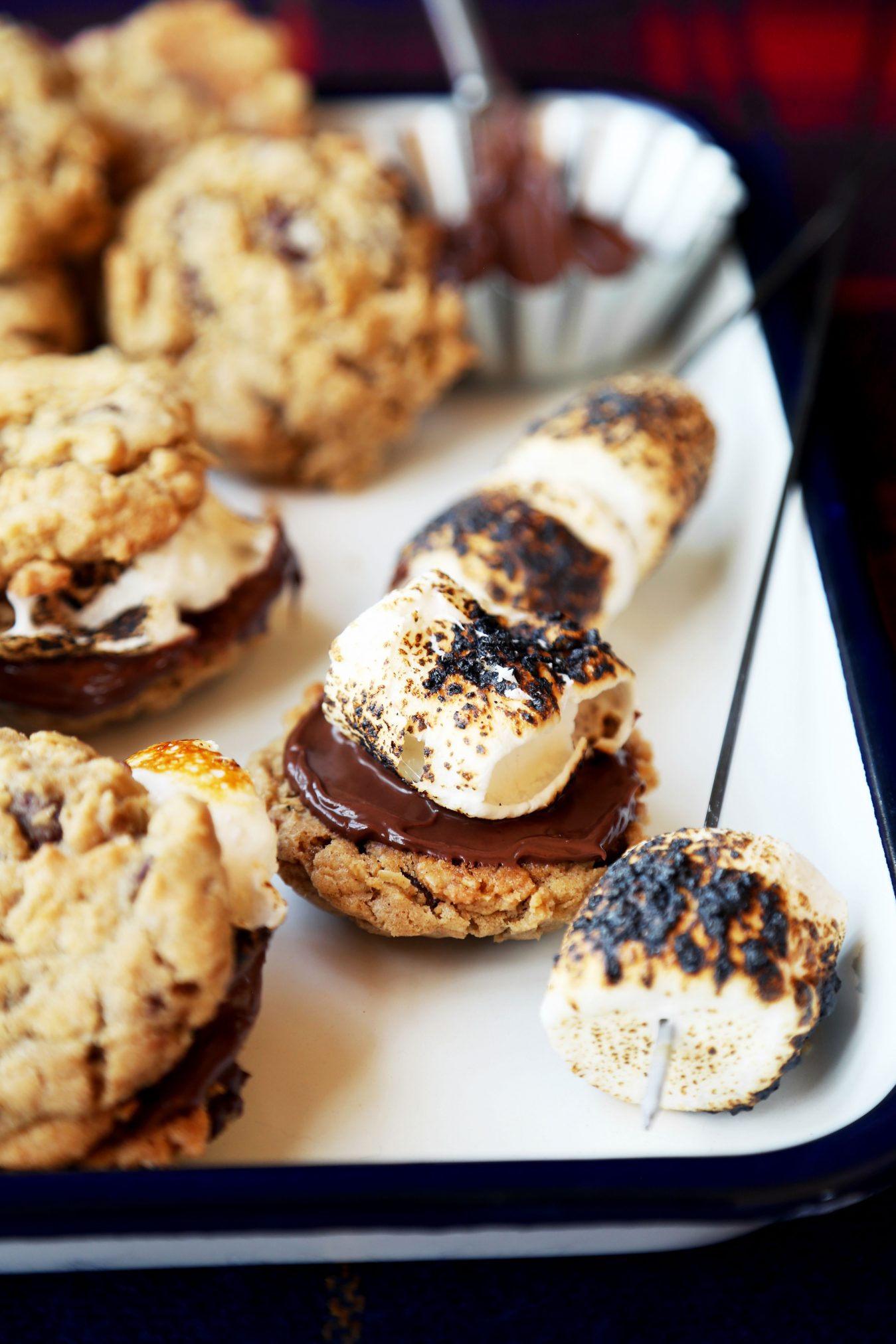 CHOCOLATE OATMEAL COOKIE S’MORES 3.jpg