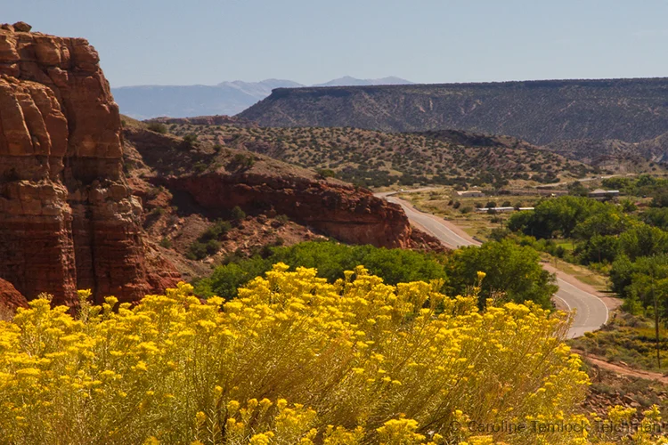 13_12_OS_A_MU_TheRoadNearAbiquiu_CTemlockTeichman copy.jpg