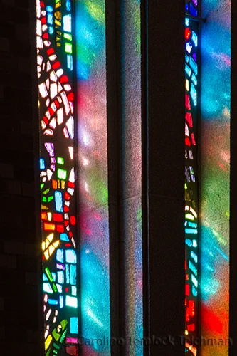 Reflection on LIght copy.jpg