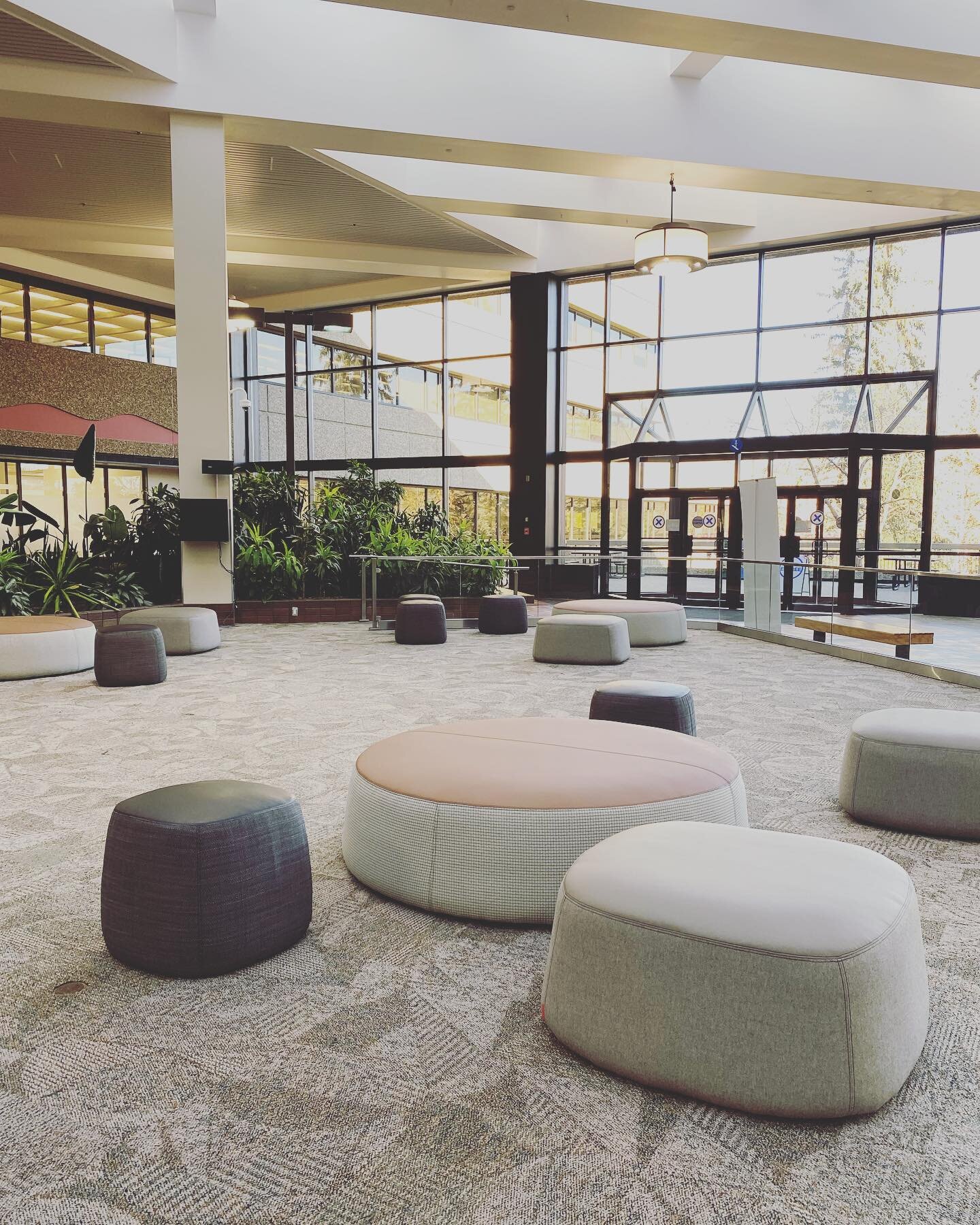 The challenge in phased interior refreshes is ensuring that the existing and the new meld together symbiotically while in transition. The materials for these @haworthinc poufs were carefully composed creating a result that elevated the existing surro