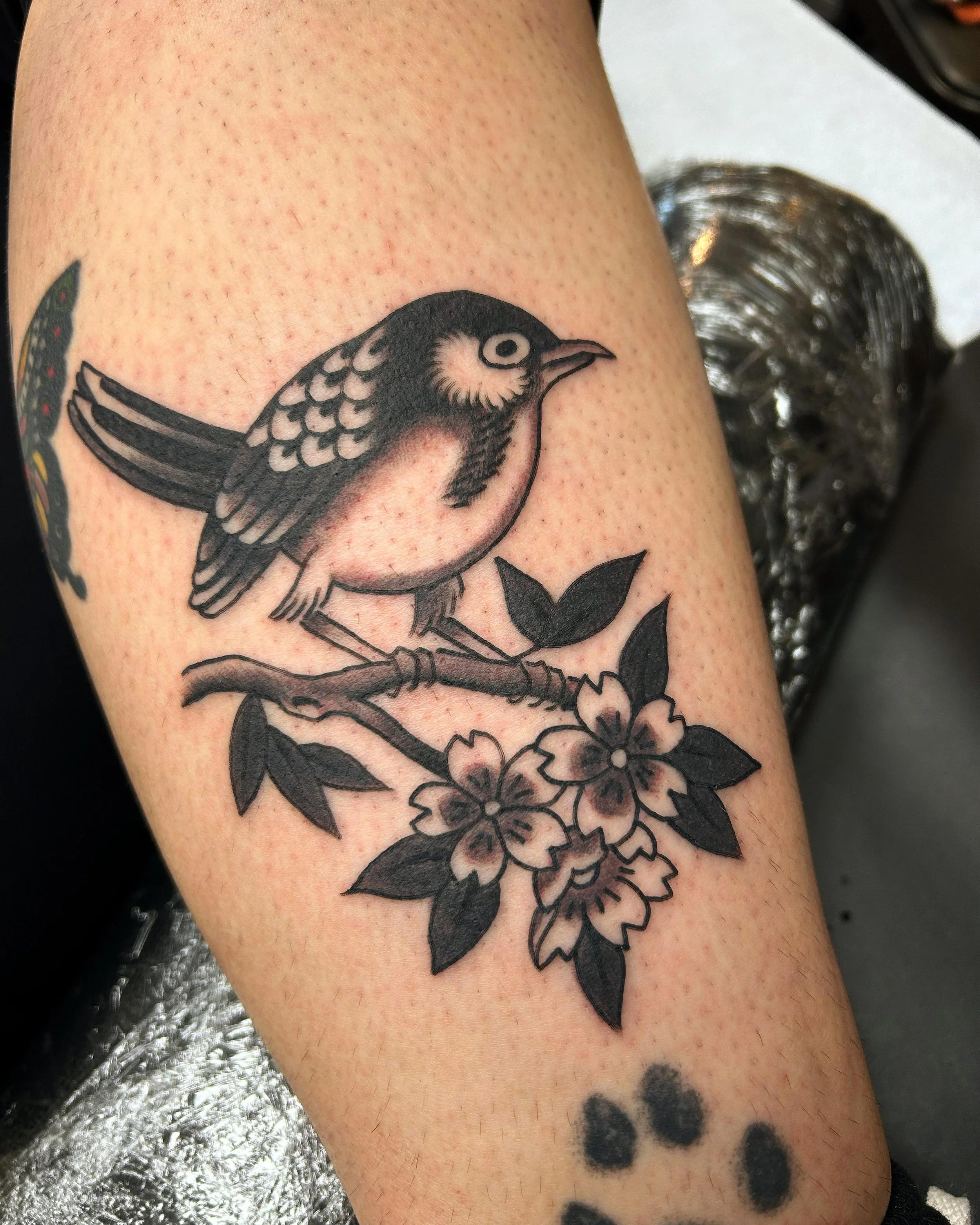 0A6C515E-F0C9-408B-AF02-3EF1430FF841 (1).JPG