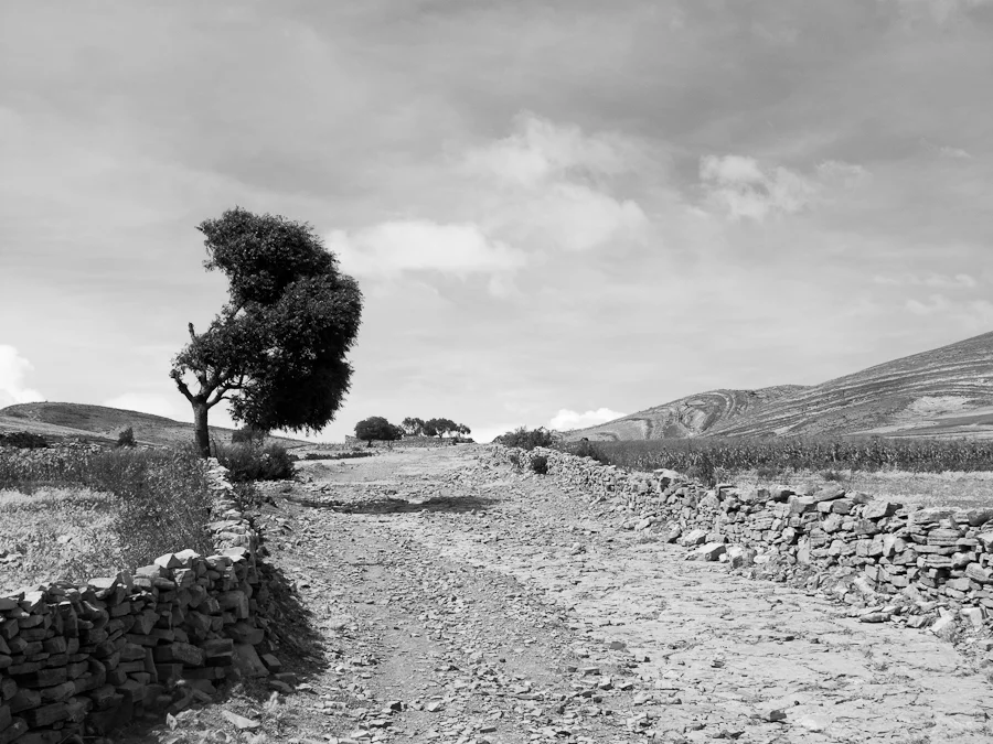 Road