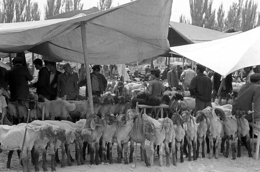 Xinjiang-34.jpg