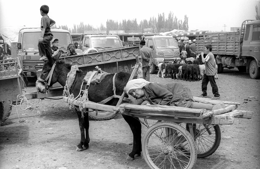 Xinjiang-50.jpg