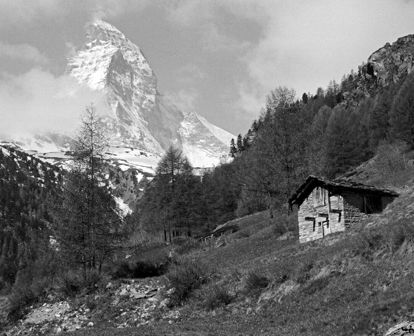 Swiss2005-3.jpg
