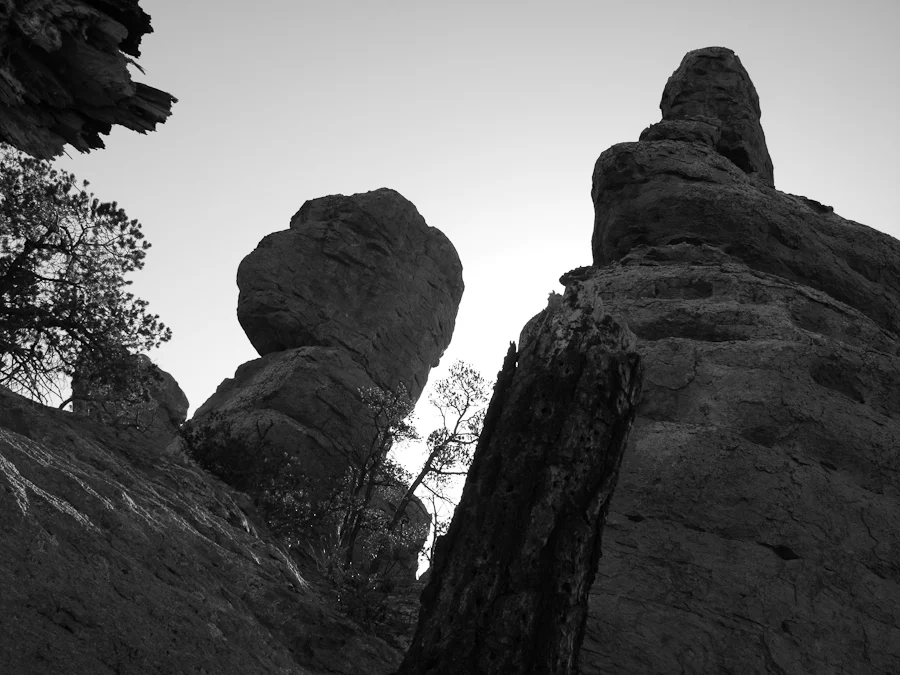 Chiricahua-7.jpg