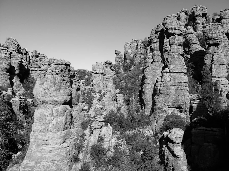 Chiricahua-9.jpg