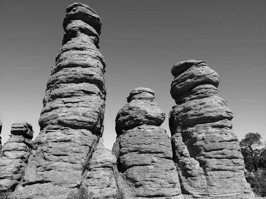Chiricahua-10.jpg