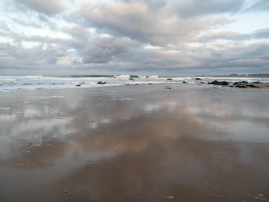 RW_2012-3.jpg