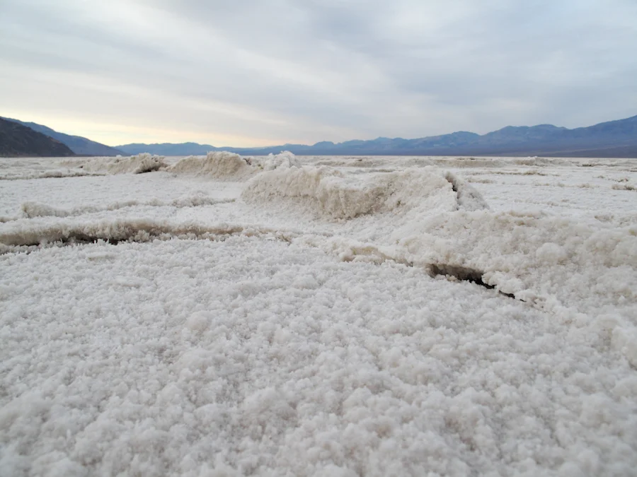 DV_2012-5-2.jpg