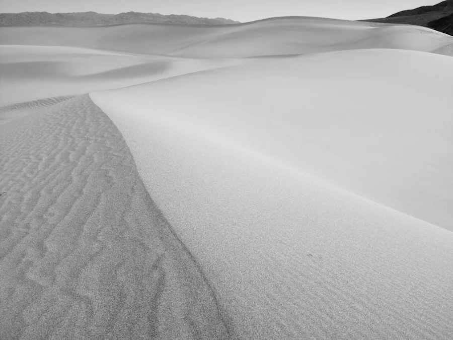 DV_2012-7.jpg