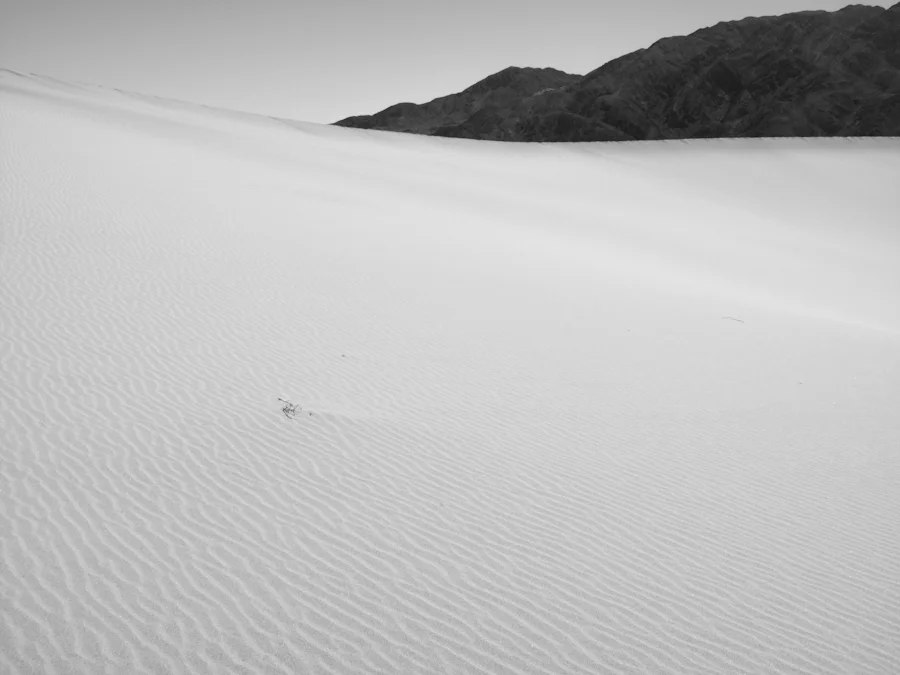 DV_2012-8.jpg