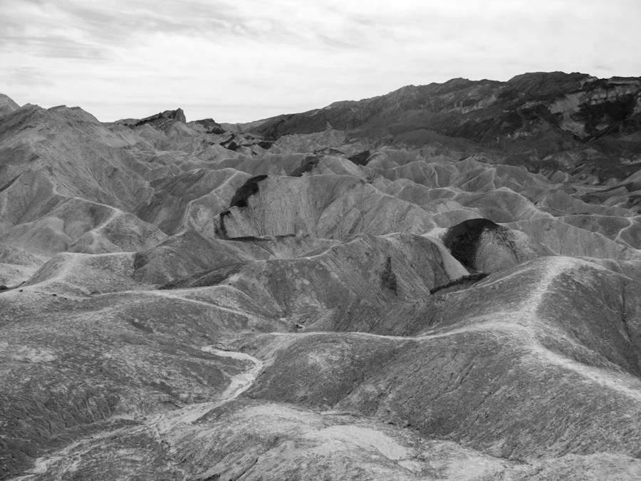 DV_2012-21.jpg