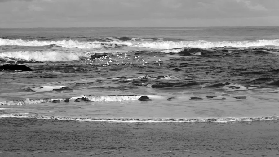 RW_DW_2012-19.jpg