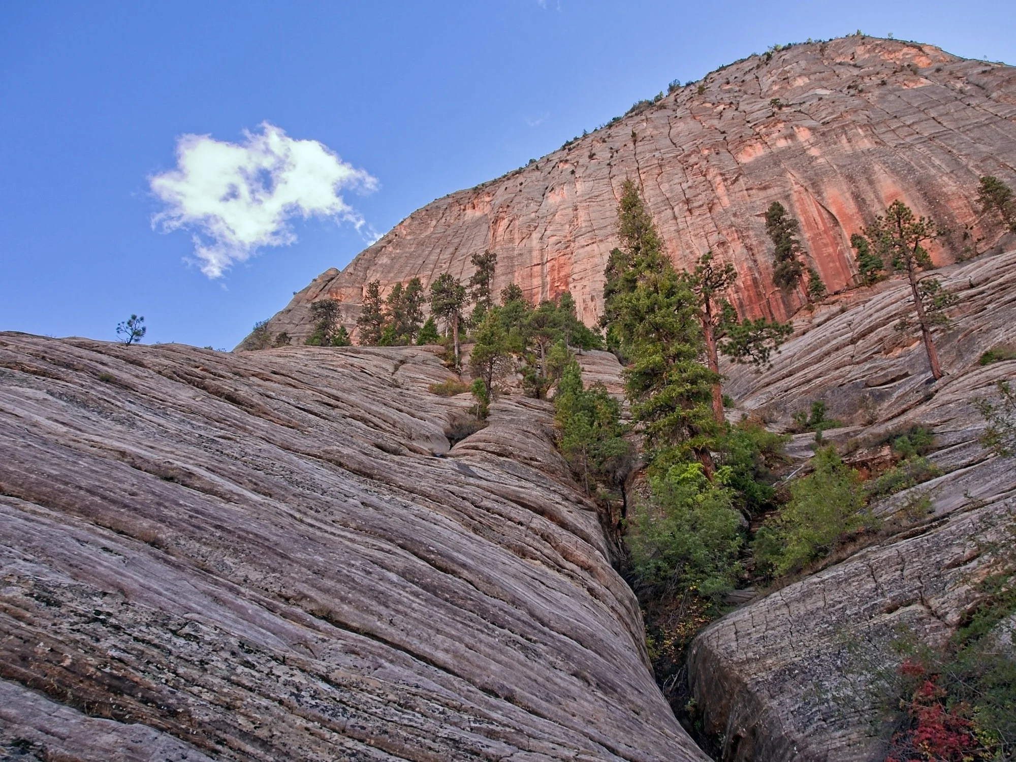 AZ and UT 2018_0010.jpg