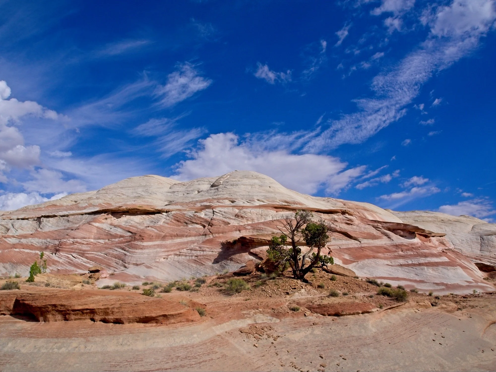 AZ and UT 2018_0013.jpg