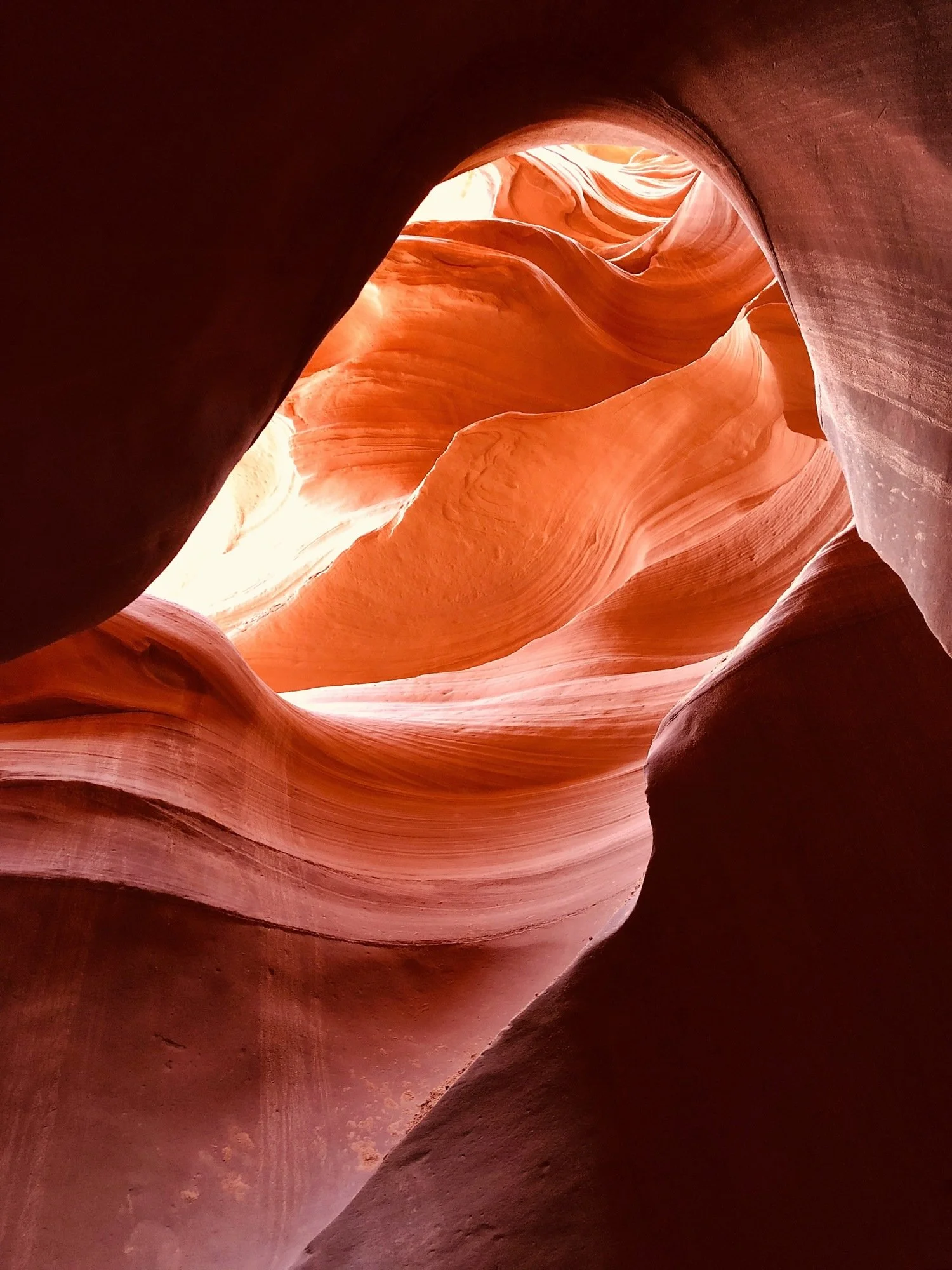 Utah Antelope IphoneX_0051.jpg