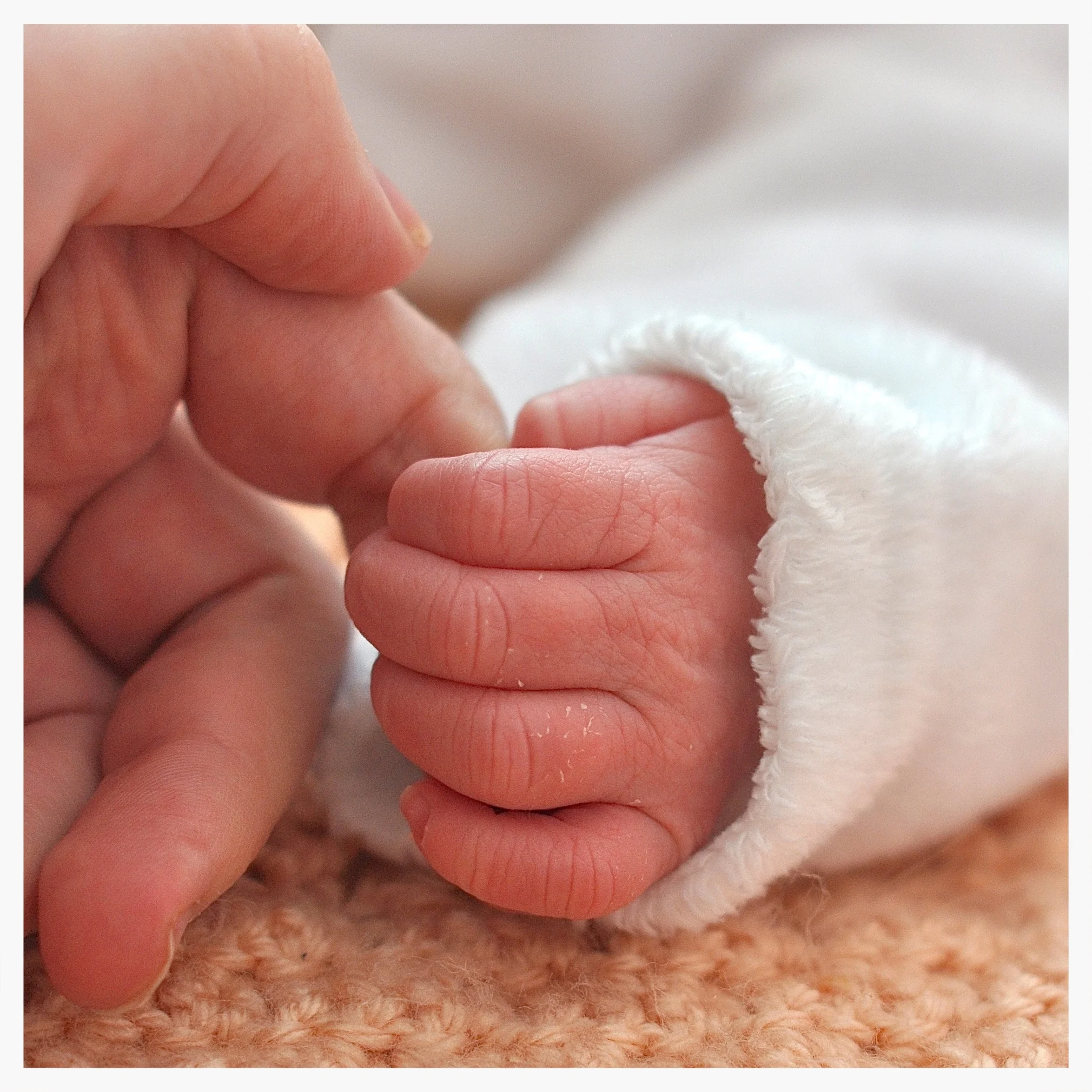 How the Mystery of the Annunciation is the Model of the way we should live... 