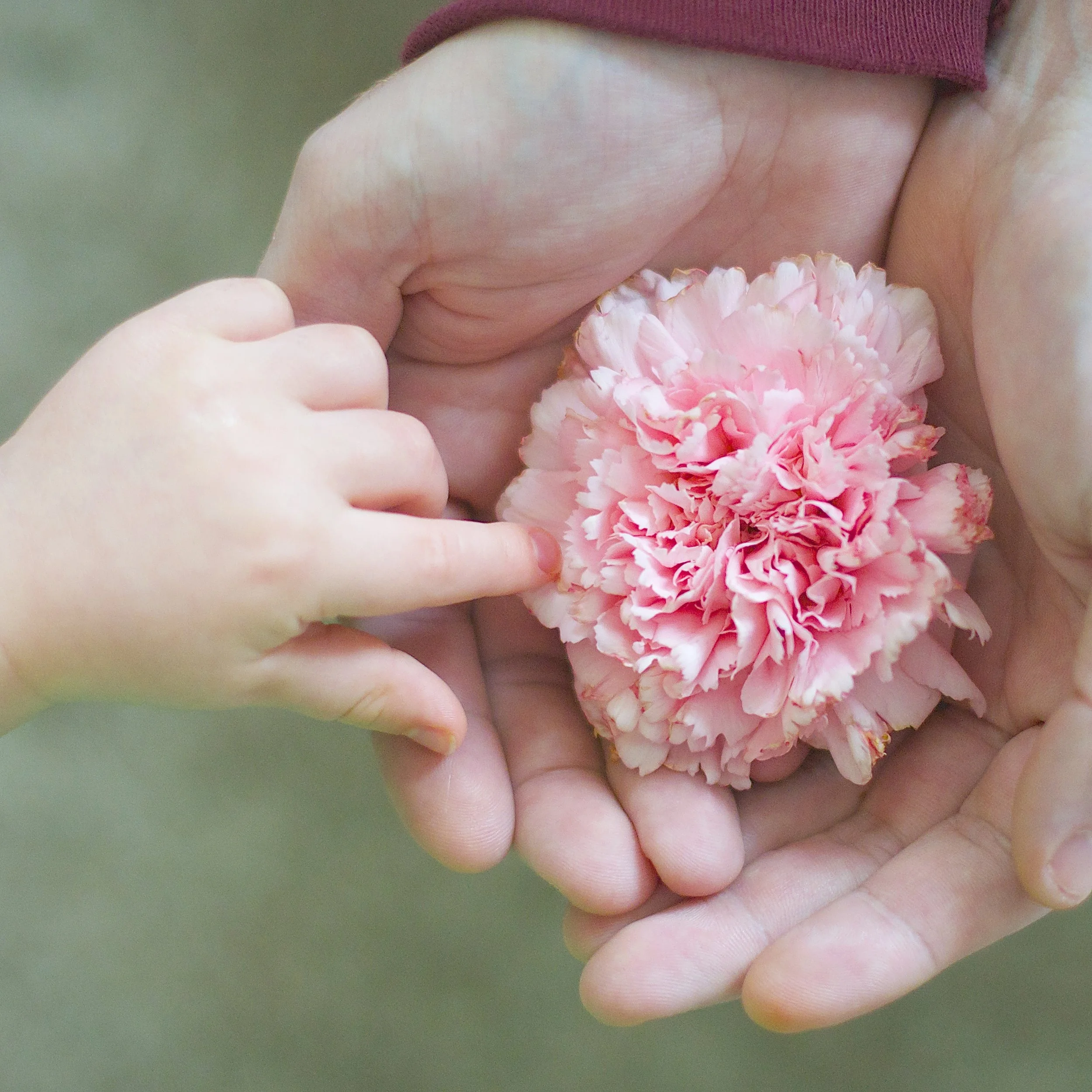 Parenting with Soul... Youtube videos I show my kids