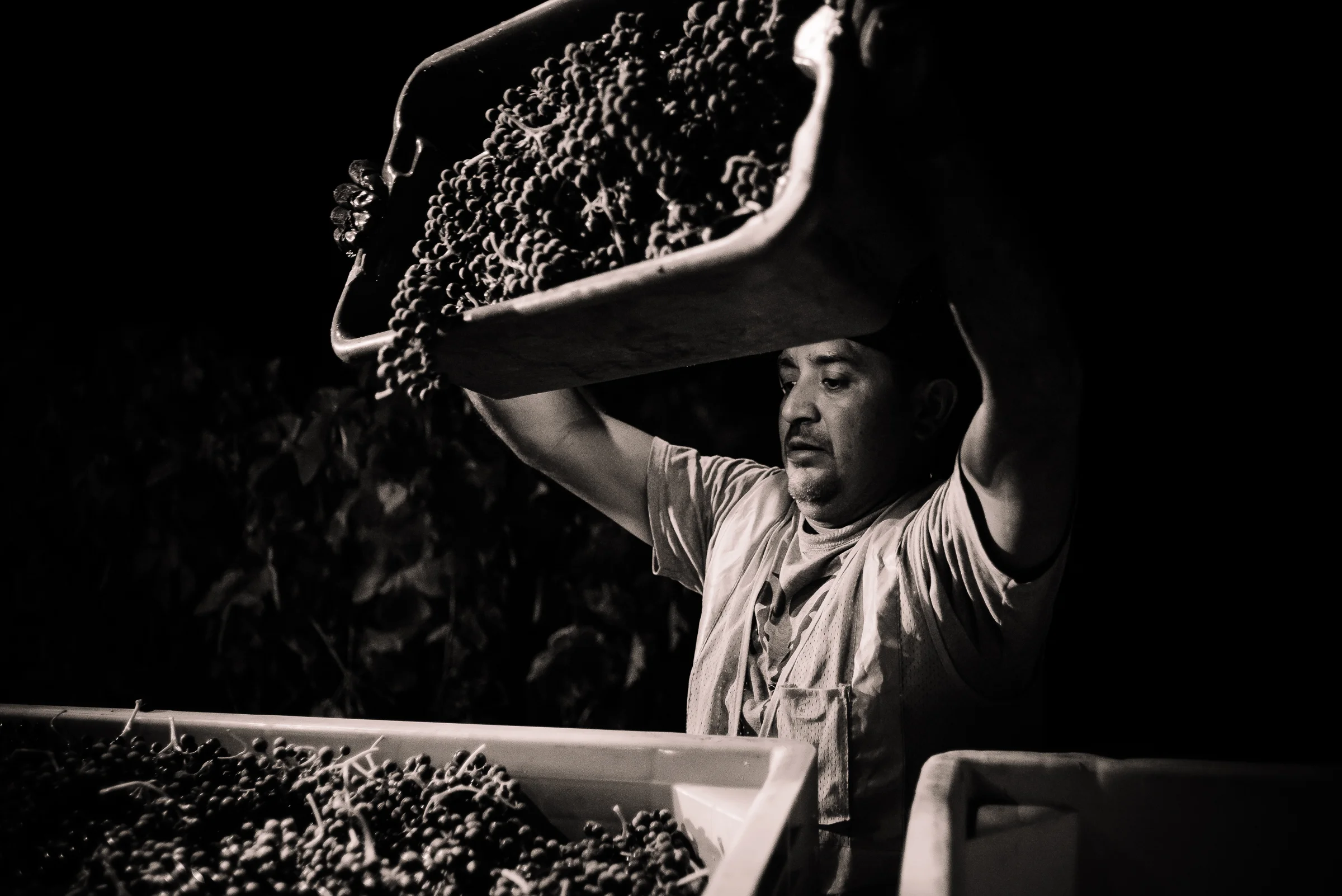 2016_09_09-HARVESTOBSIDIAN-33.jpg